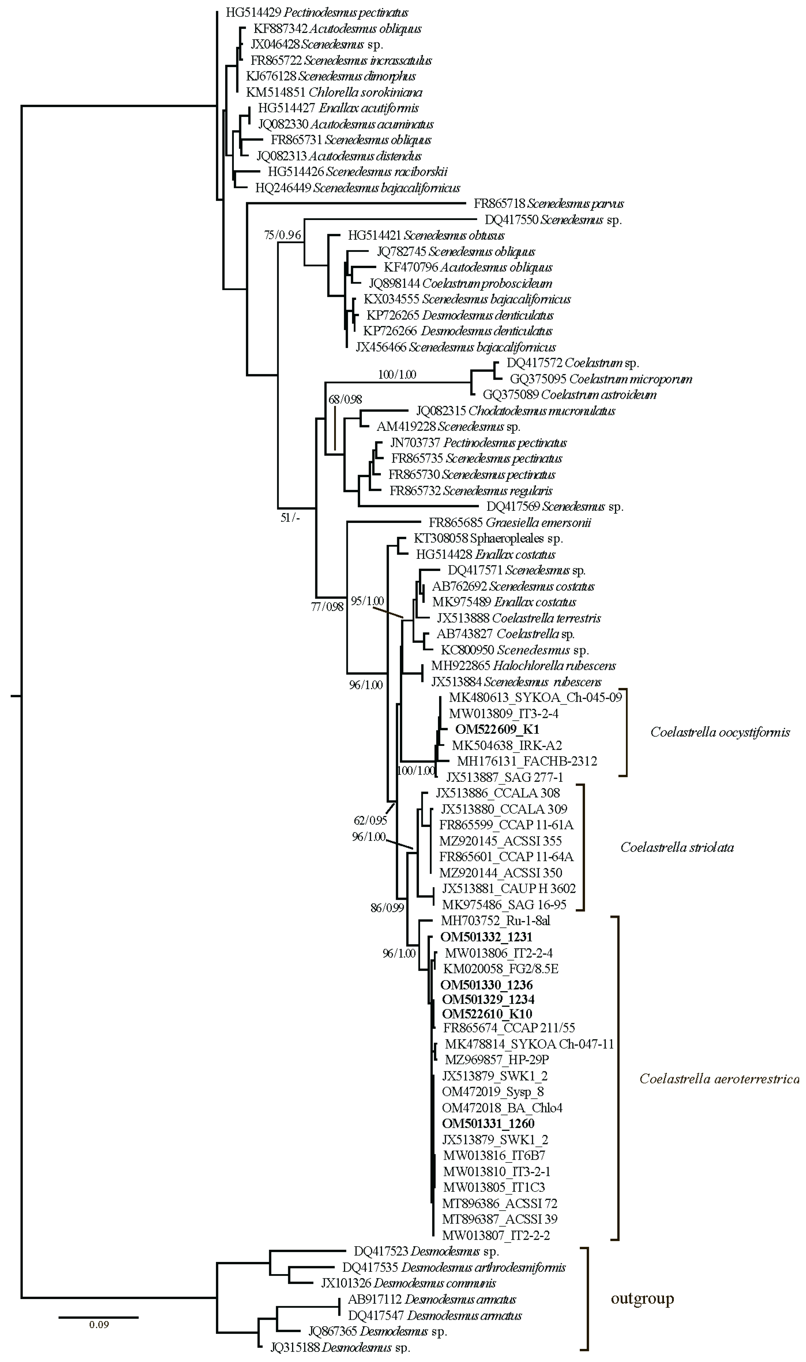 Diversity 14 00375 g004