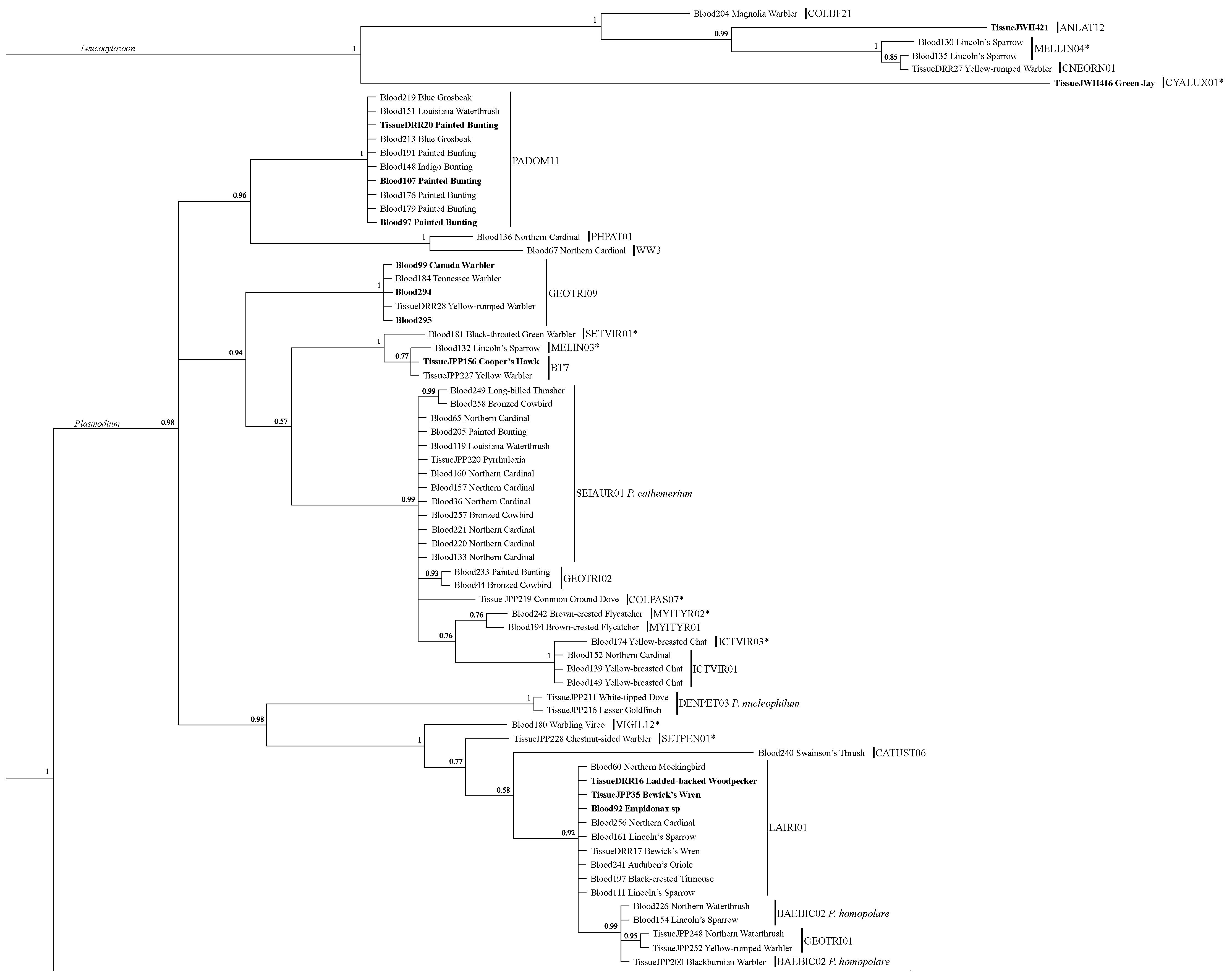 Diversity 14 00378 g002