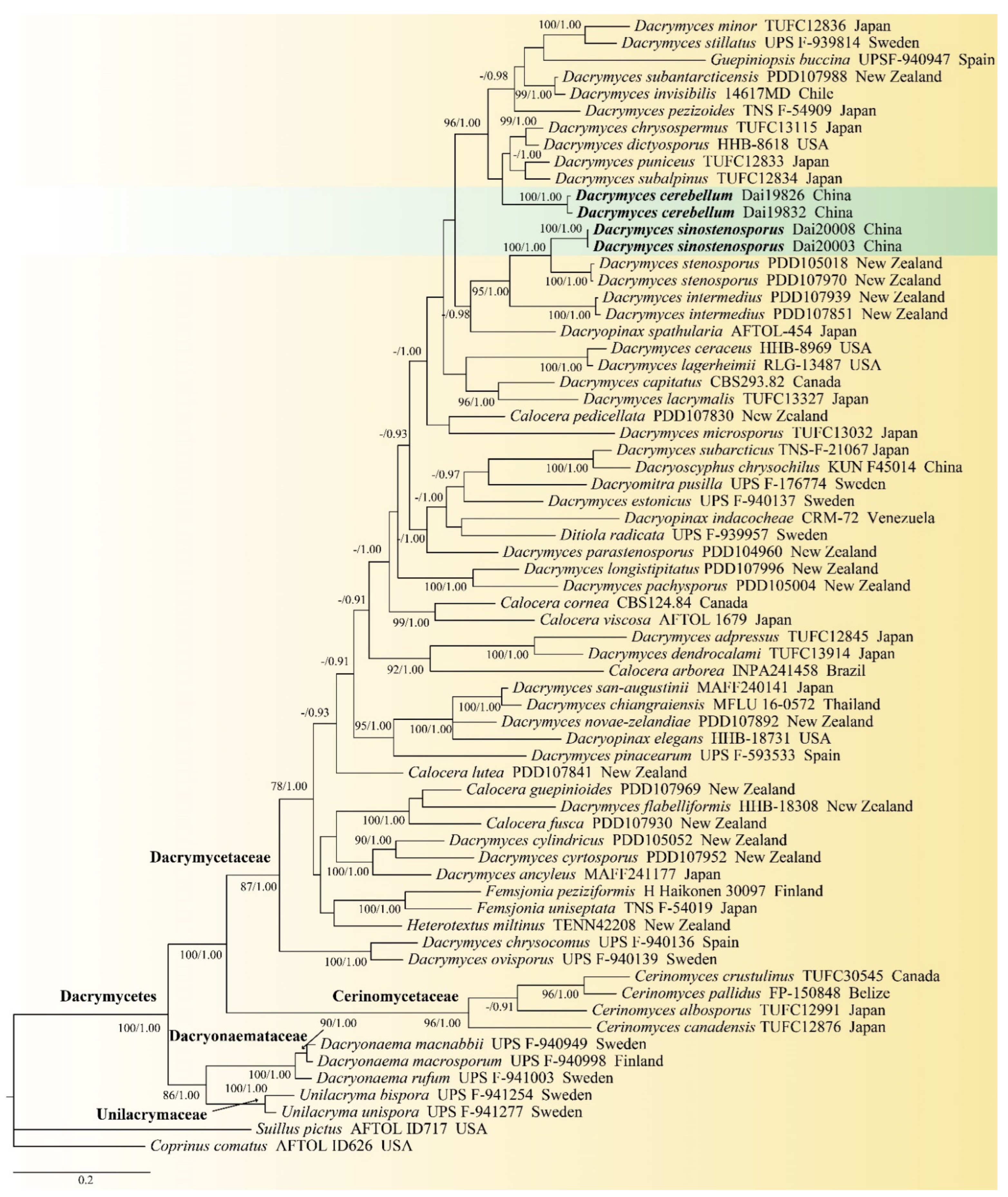 Diversity 14 00379 g001 550