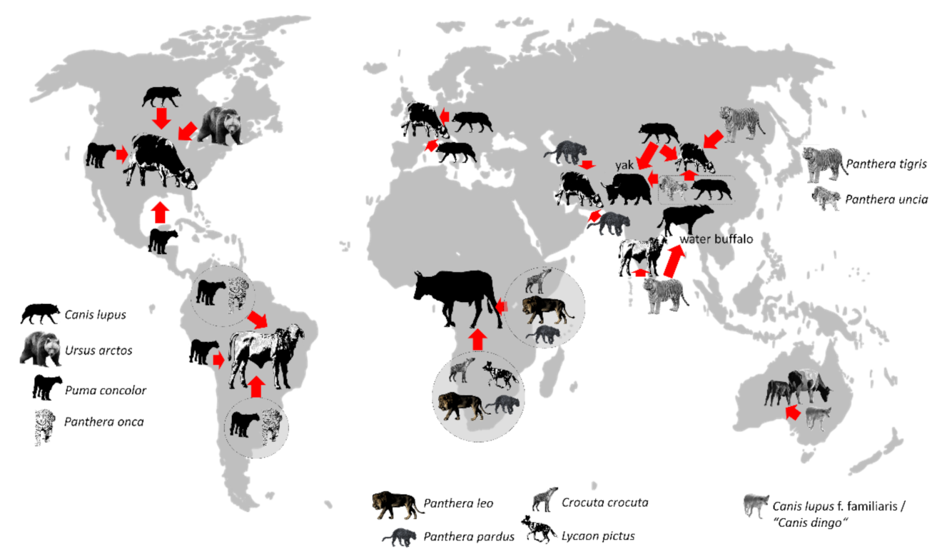 Diversity 14 00380 g002 Diversity 14 00380 g002