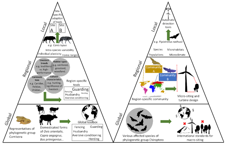 Diversity 14 00380 g004 Diversity 14 00380 g004