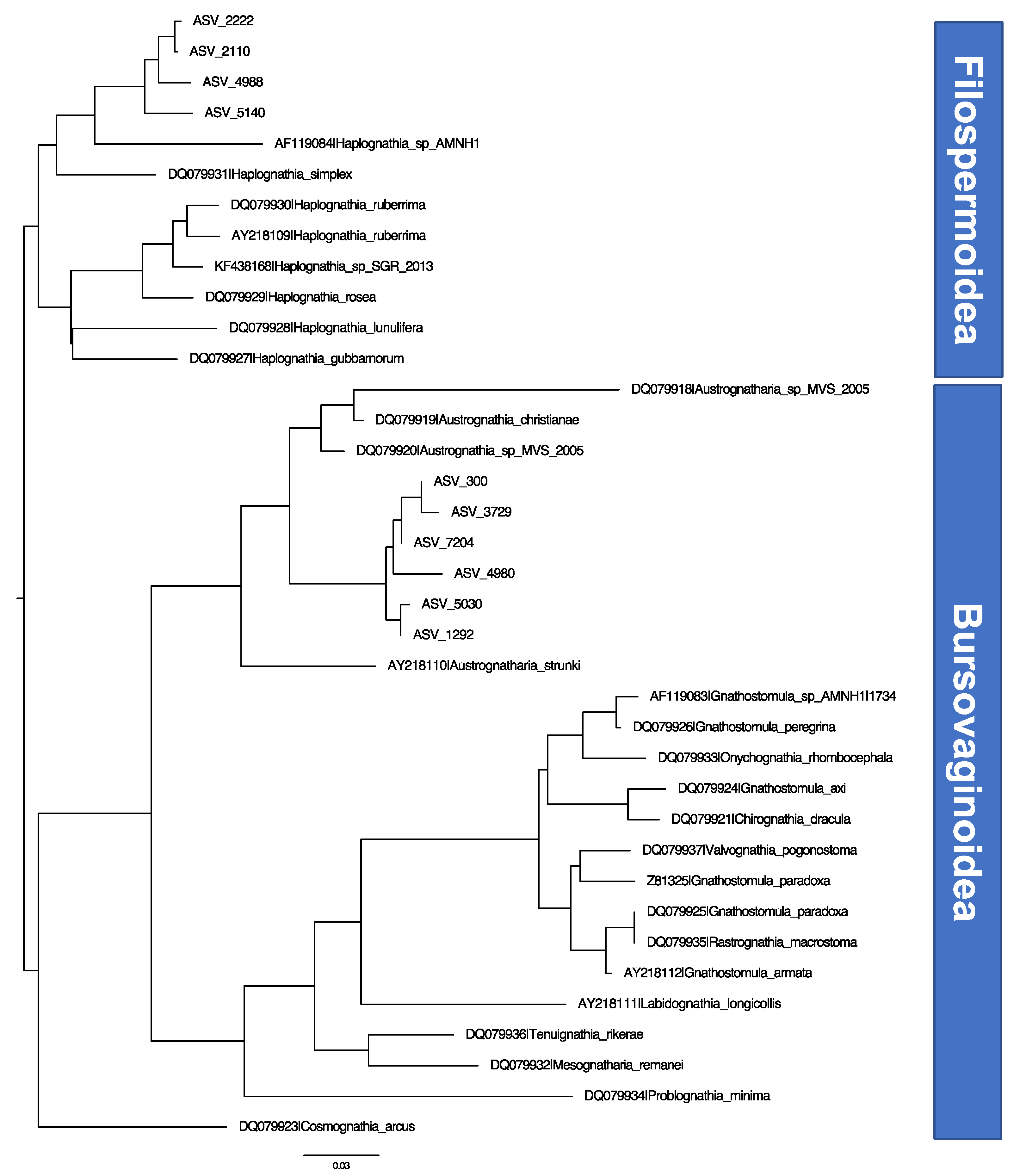 Diversity 14 00382 g003 550
