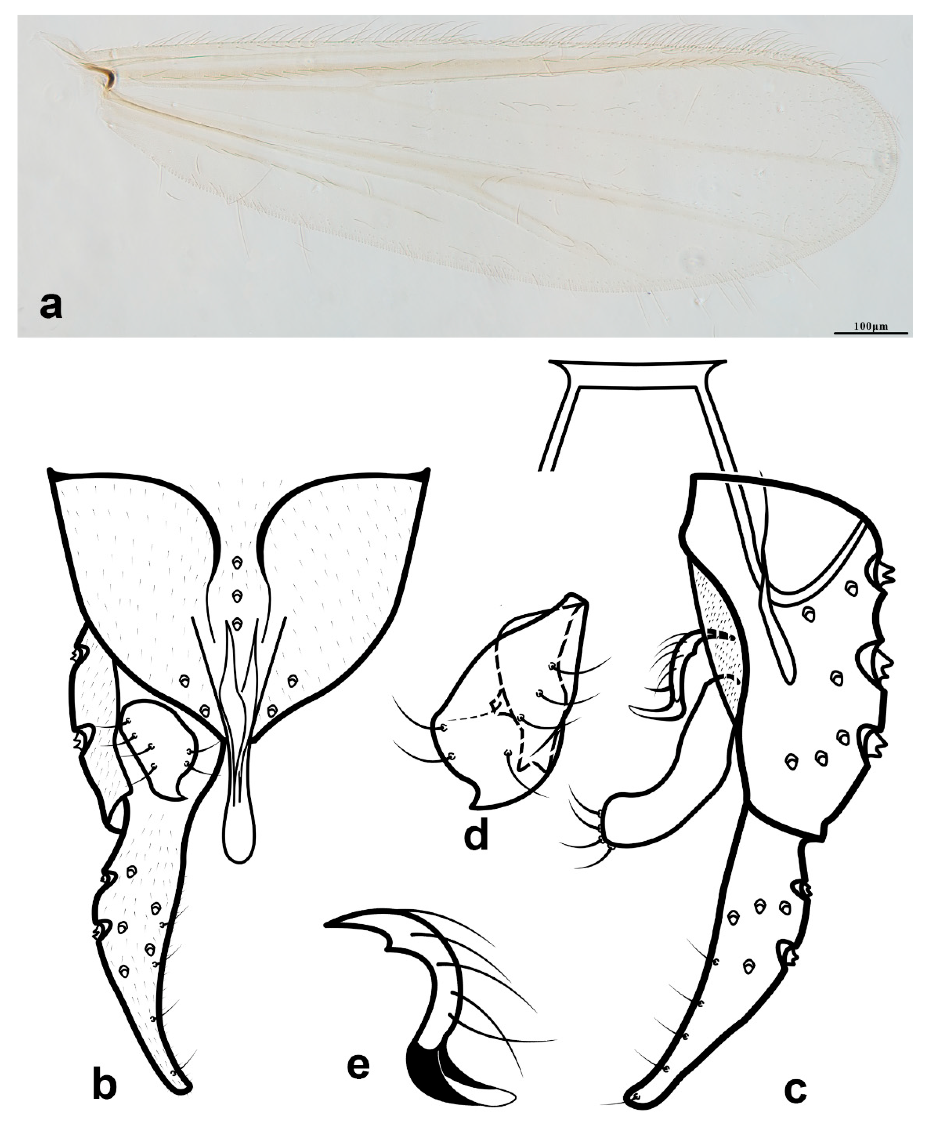 Diversity 14 00383 g003