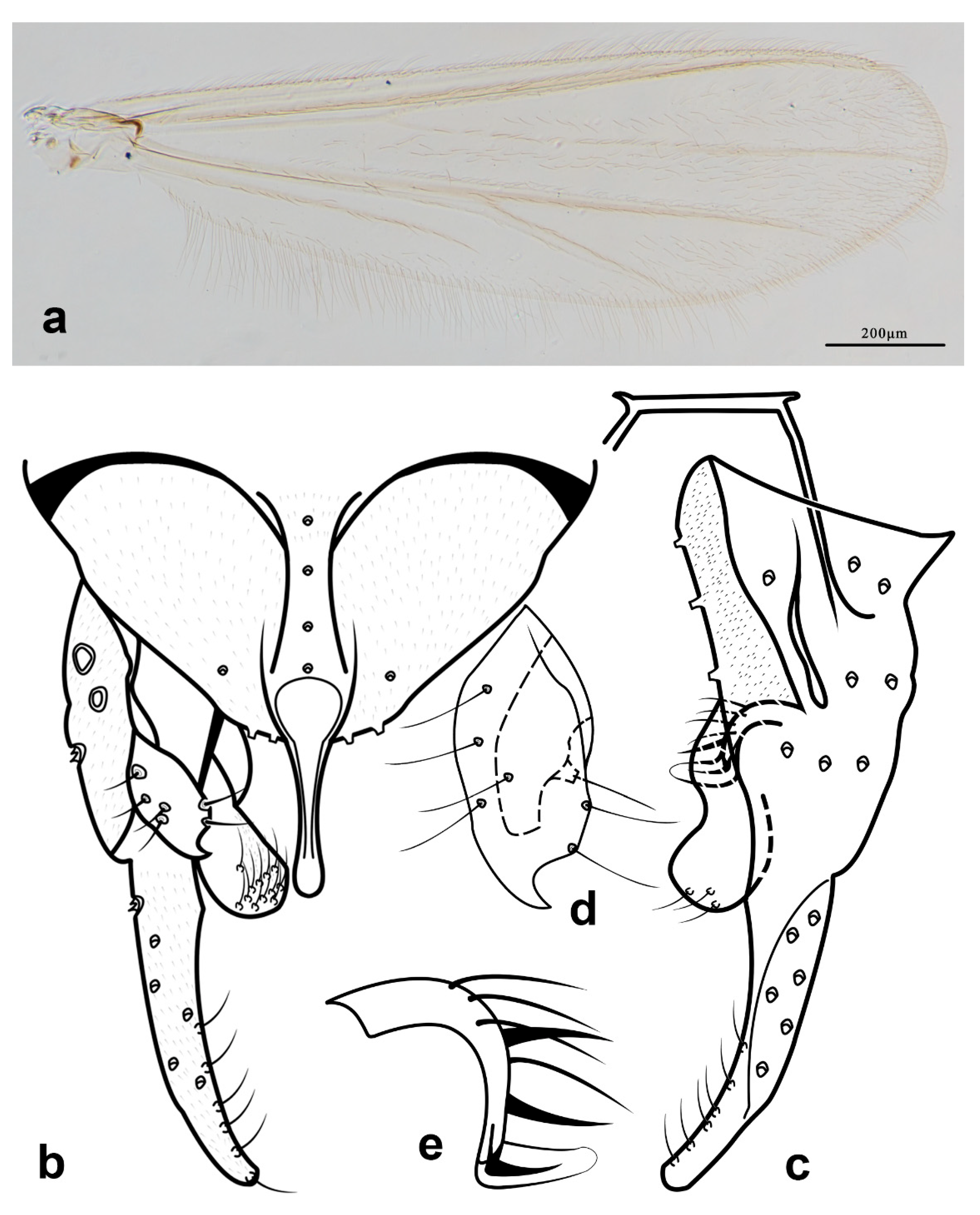 Diversity 14 00383 g004