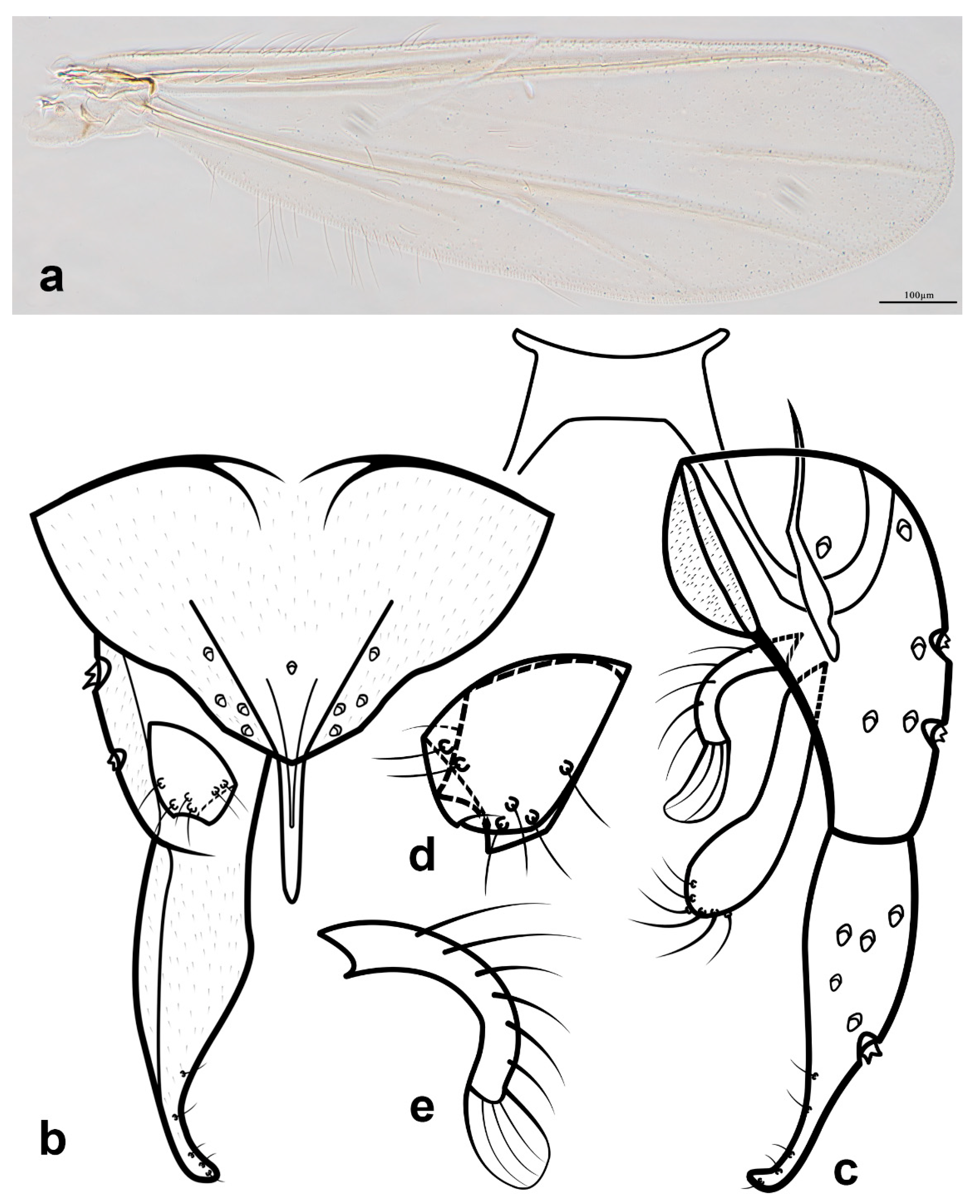 Diversity 14 00383 g005