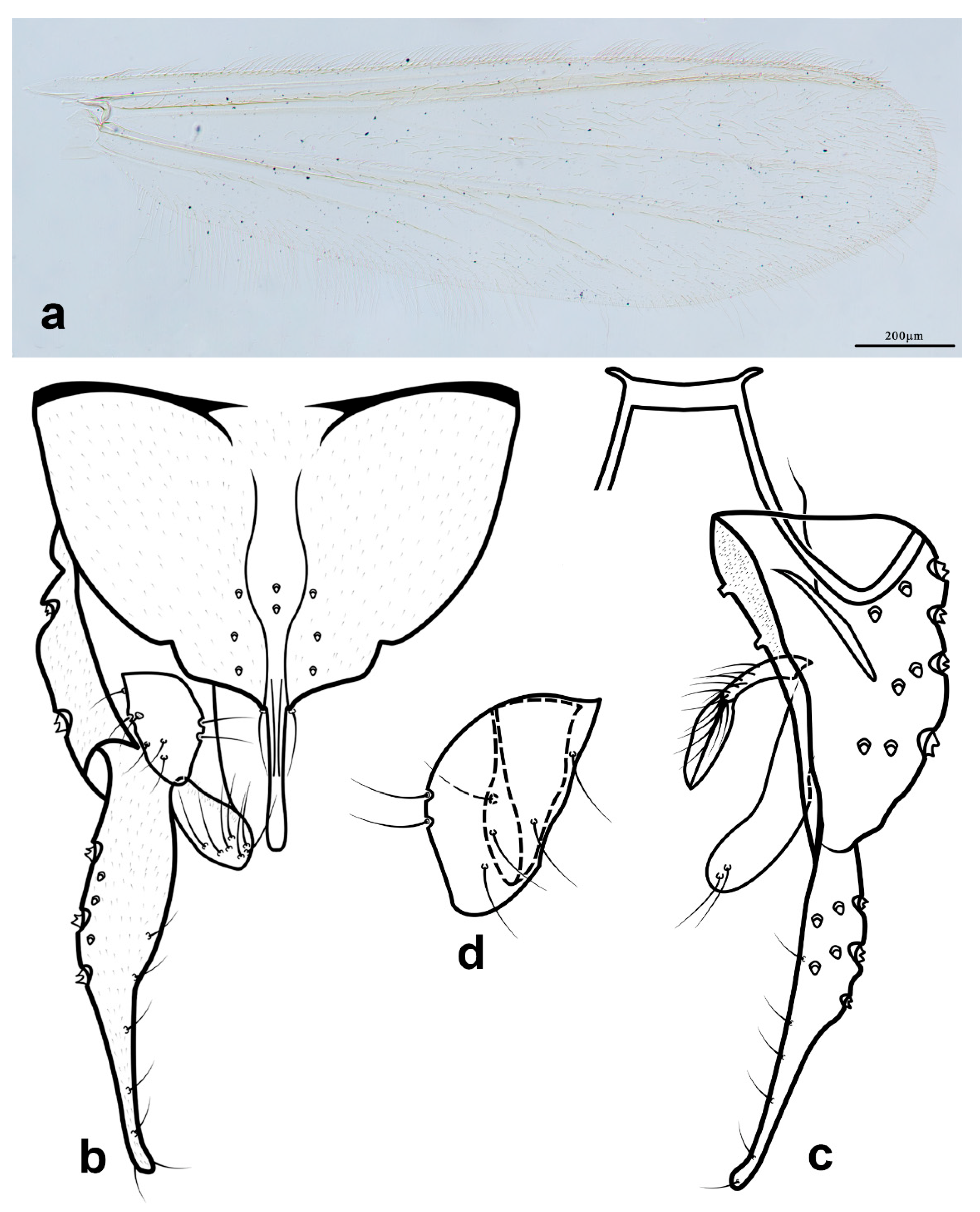 Diversity 14 00383 g006