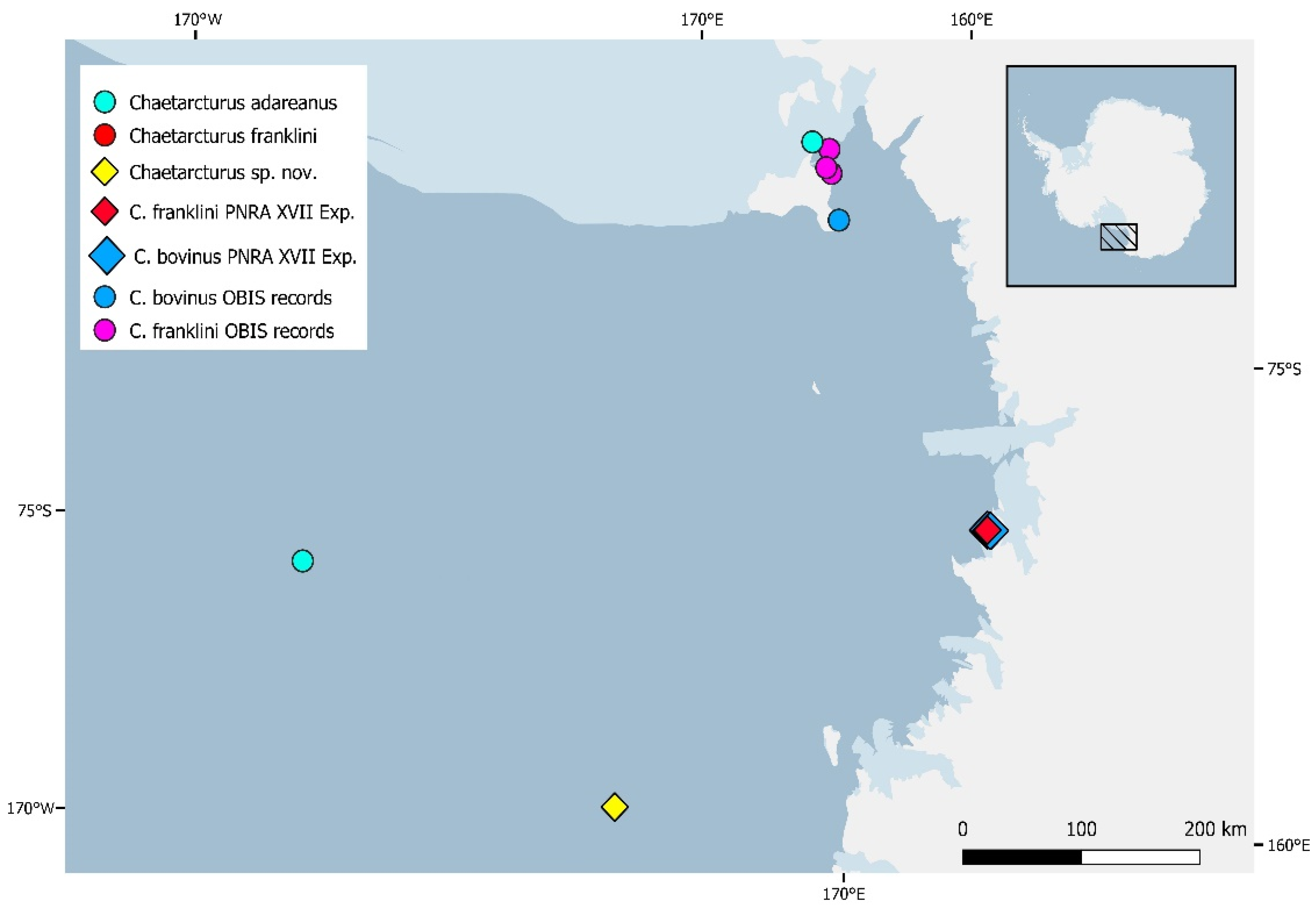 Diversity 14 00386 g002 550