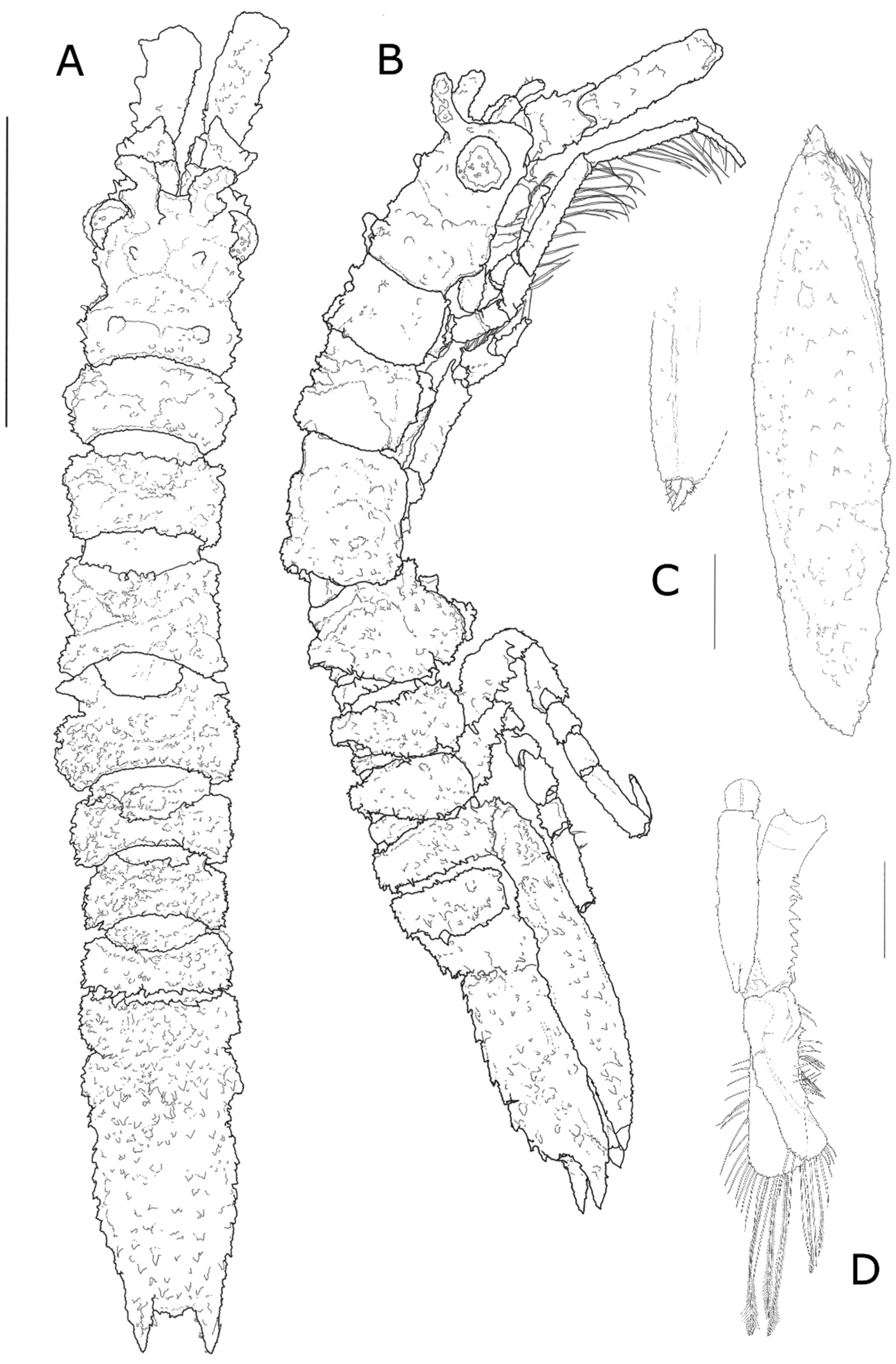 Diversity 14 00386 g004 550