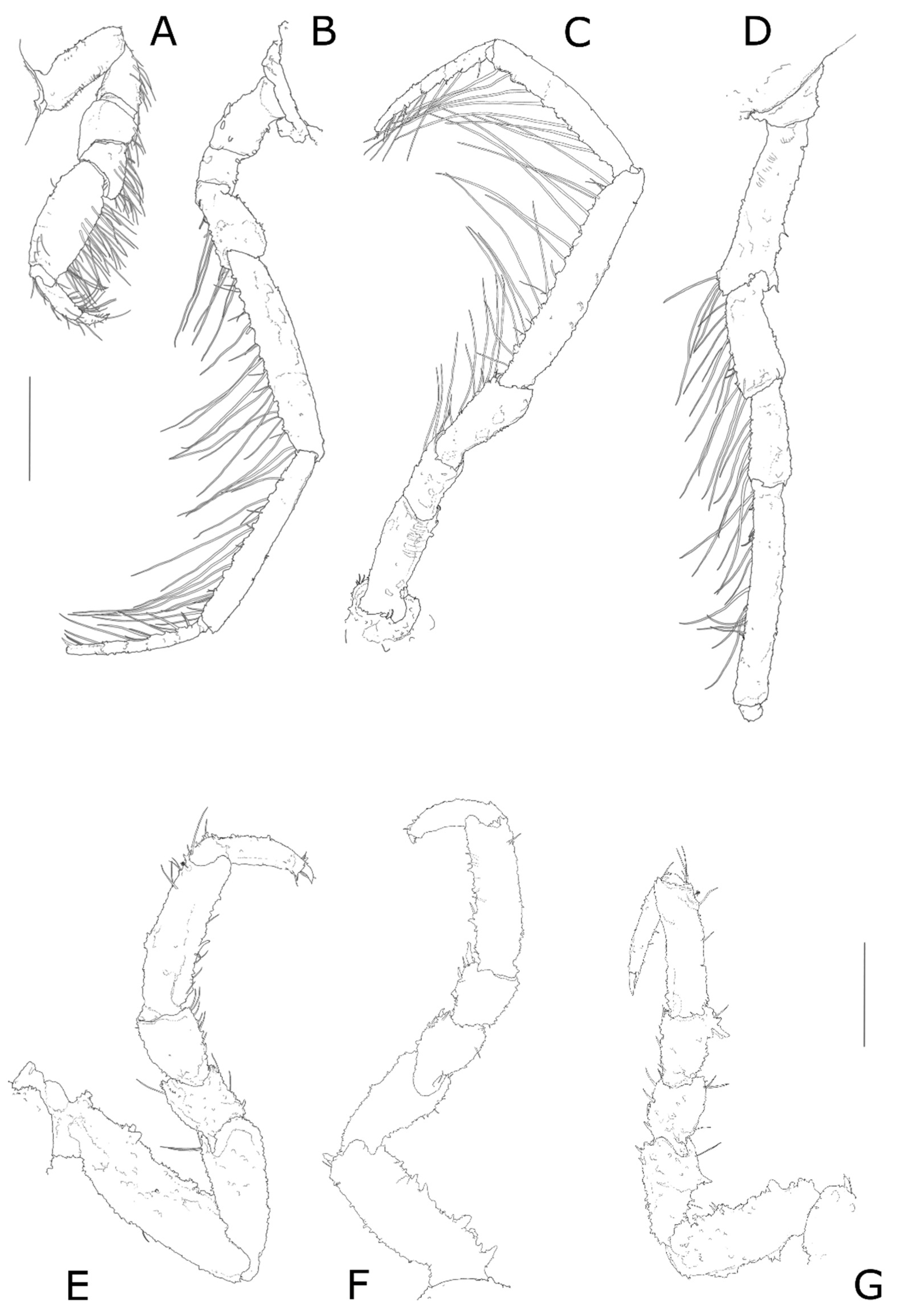 Diversity 14 00386 g005 550