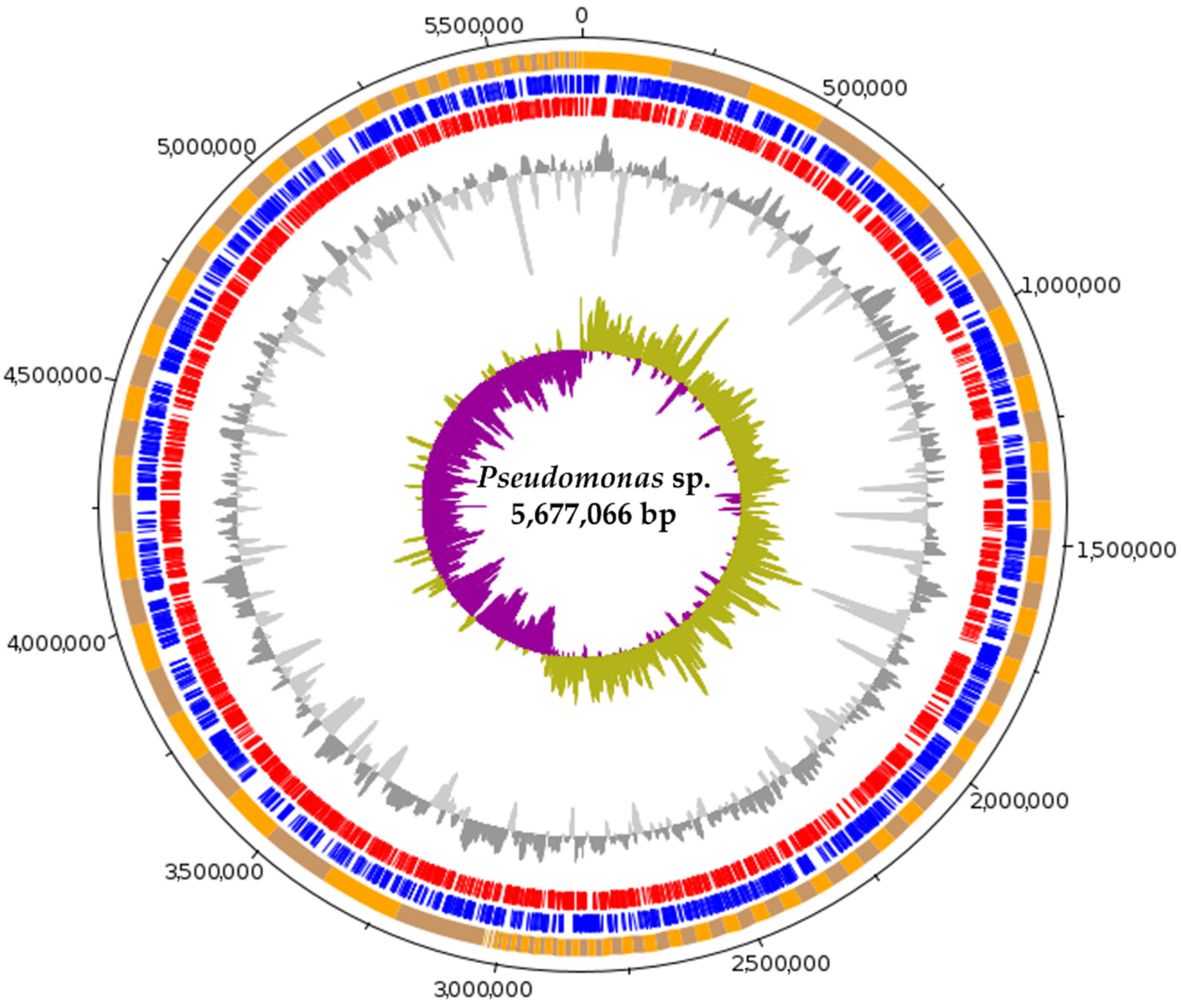 Diversity 14 00388 g001 Diversity 14 00388 g001