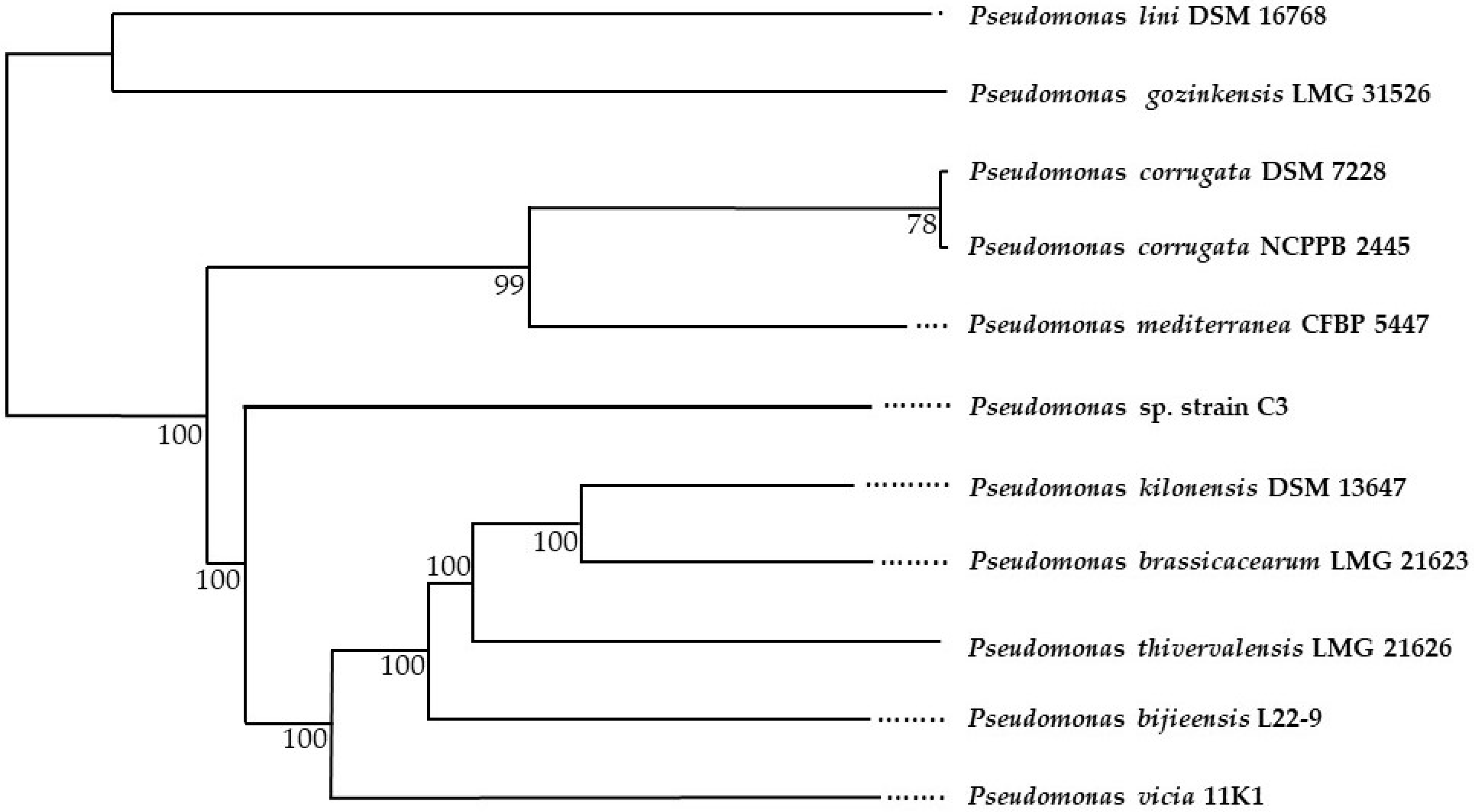 Diversity 14 00388 g002 Diversity 14 00388 g002