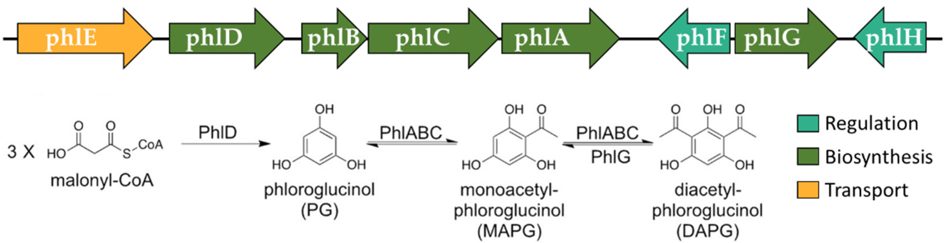 Diversity 14 00388 g003 Diversity 14 00388 g003
