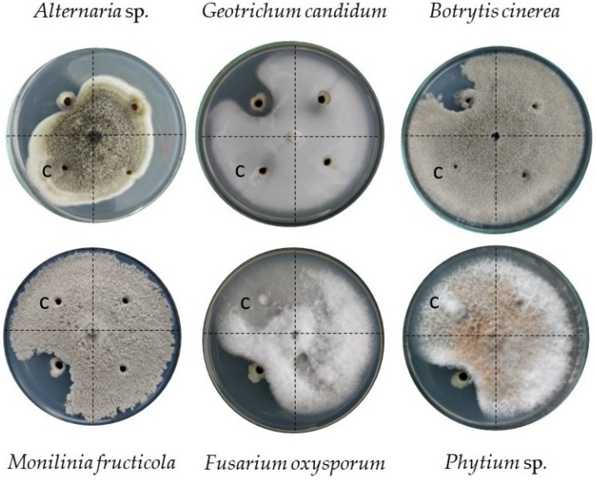 Diversity 14 00388 g005 Diversity 14 00388 g005