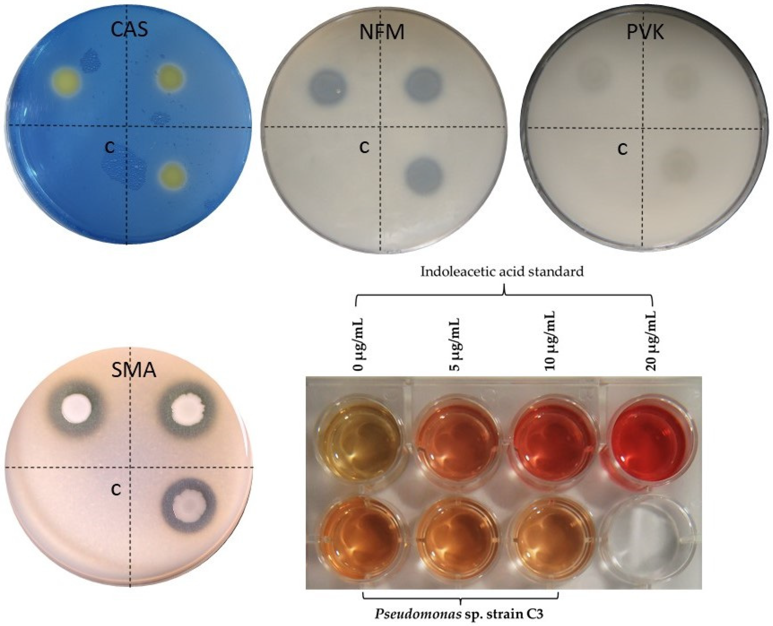 Diversity 14 00388 g006 Diversity 14 00388 g006
