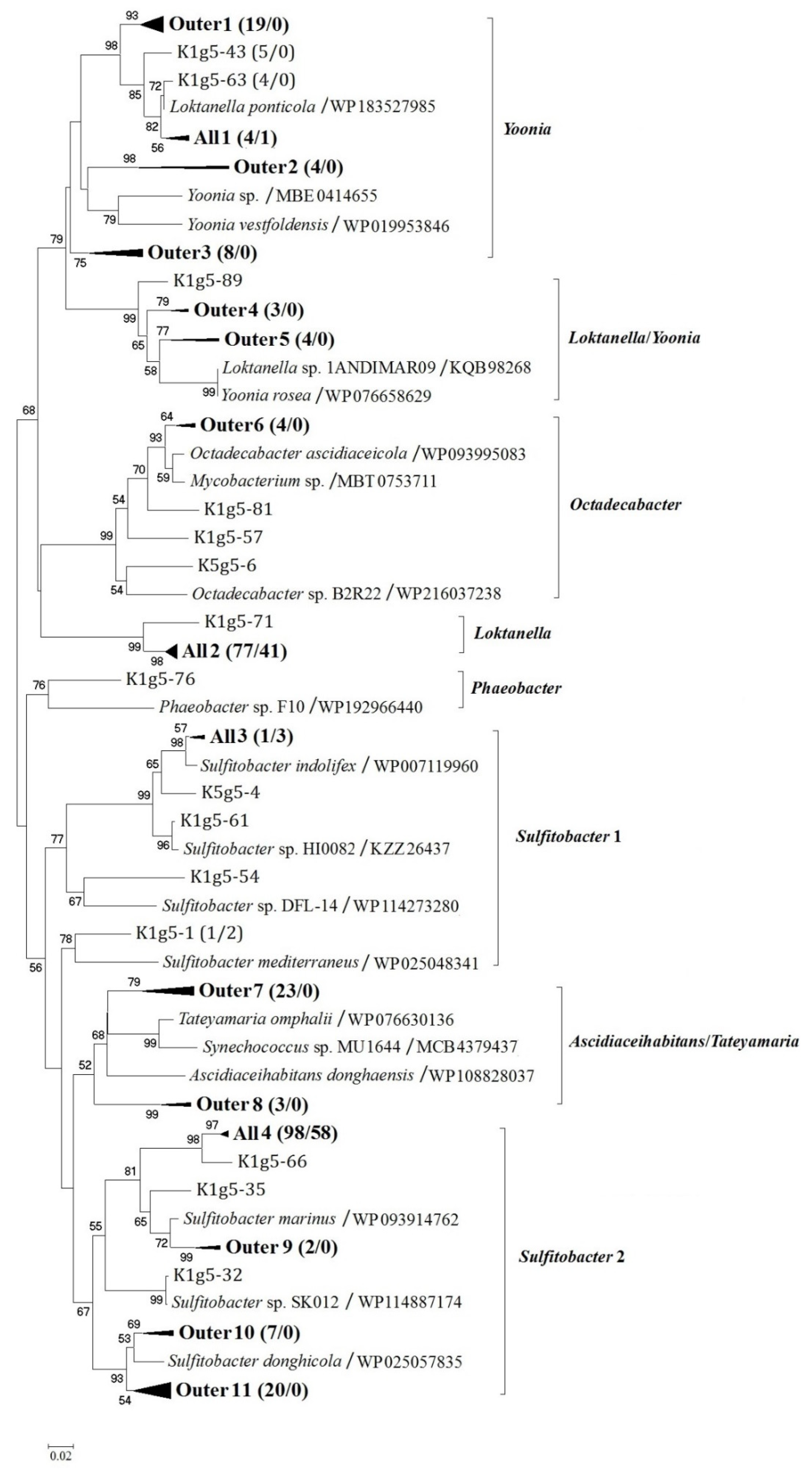 Diversity 14 00392 g002 Diversity 14 00392 g002