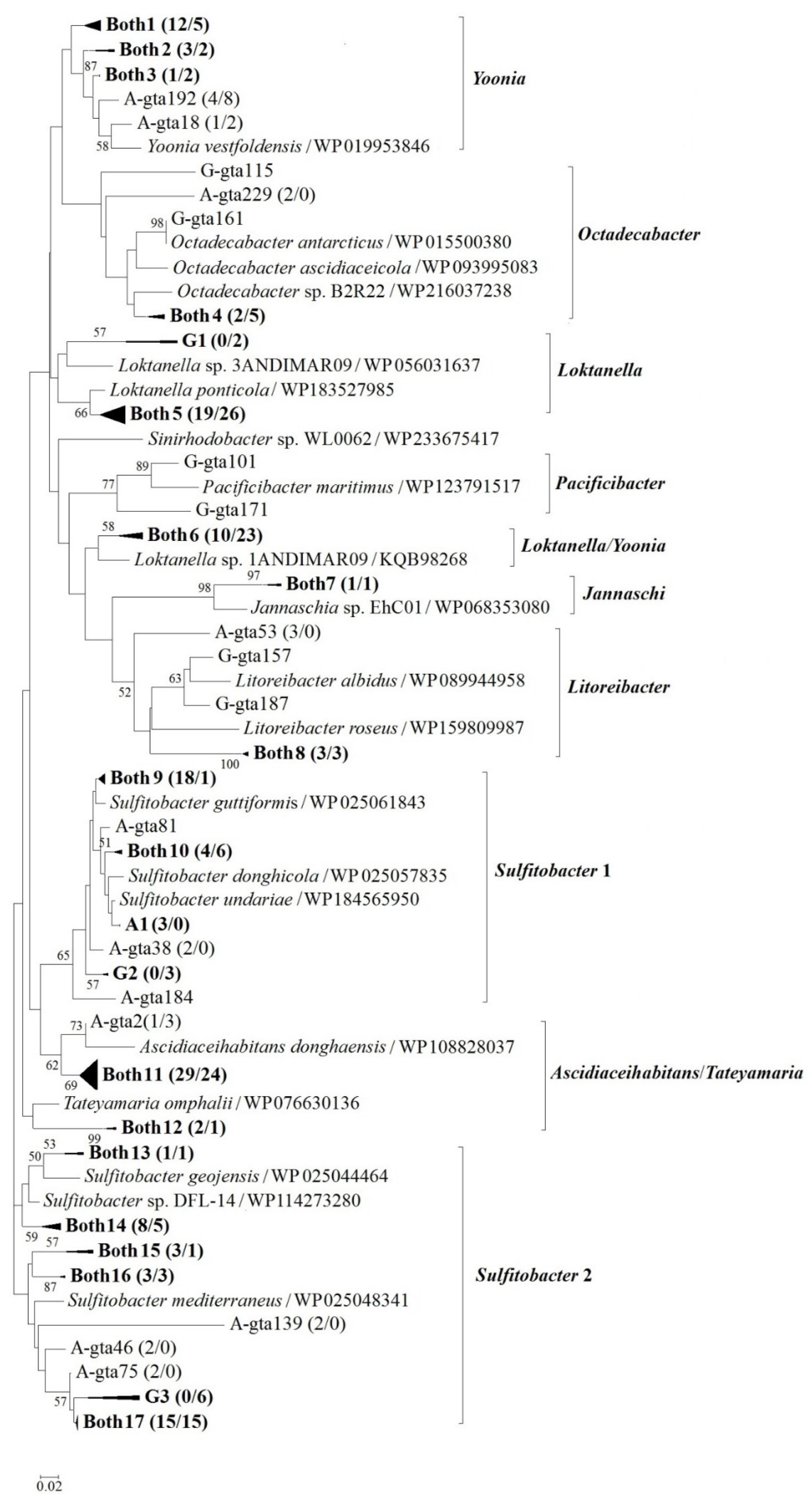 Diversity 14 00392 g003 Diversity 14 00392 g003