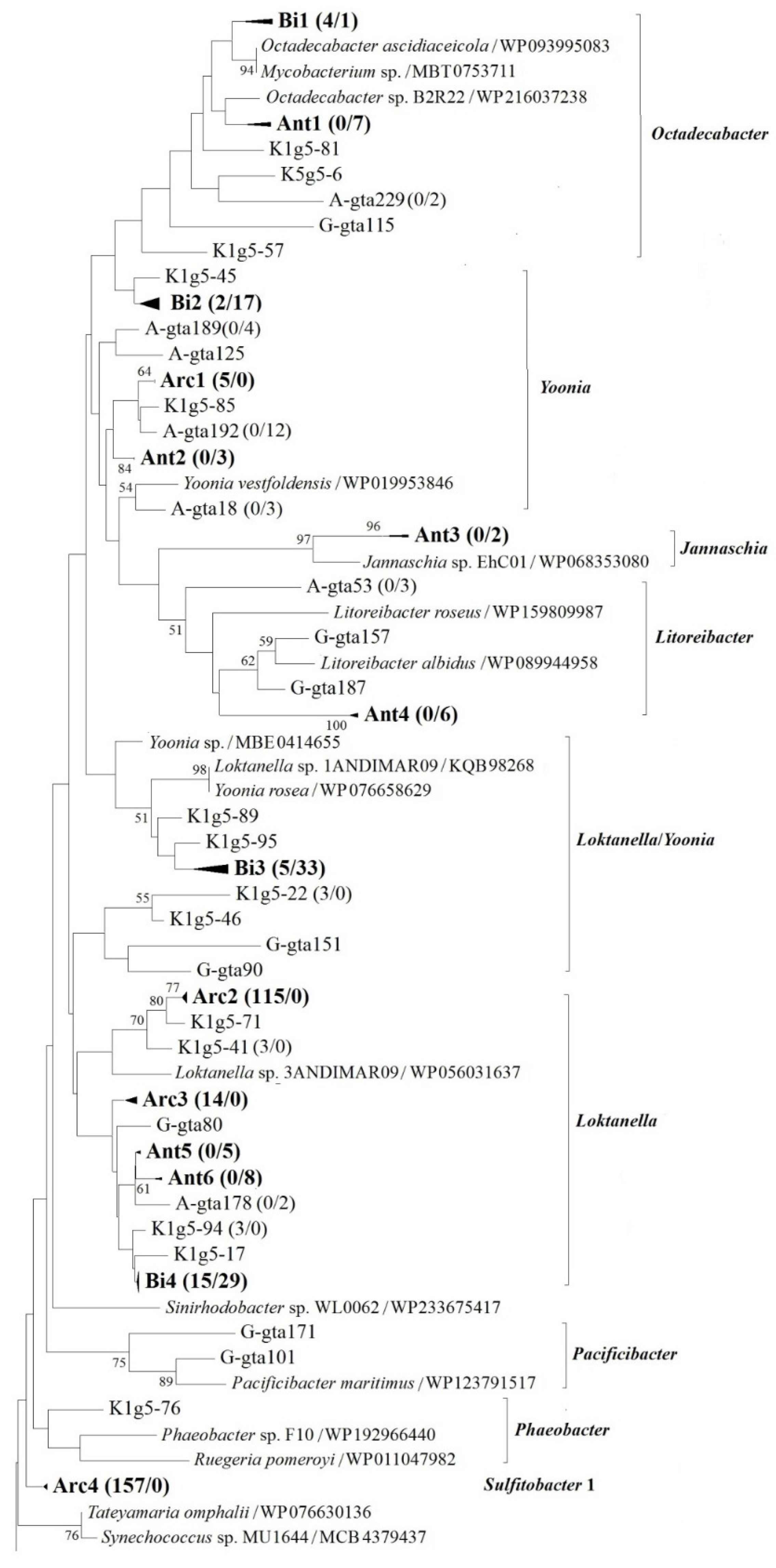 Diversity 14 00392 g004a Diversity 14 00392 g004a