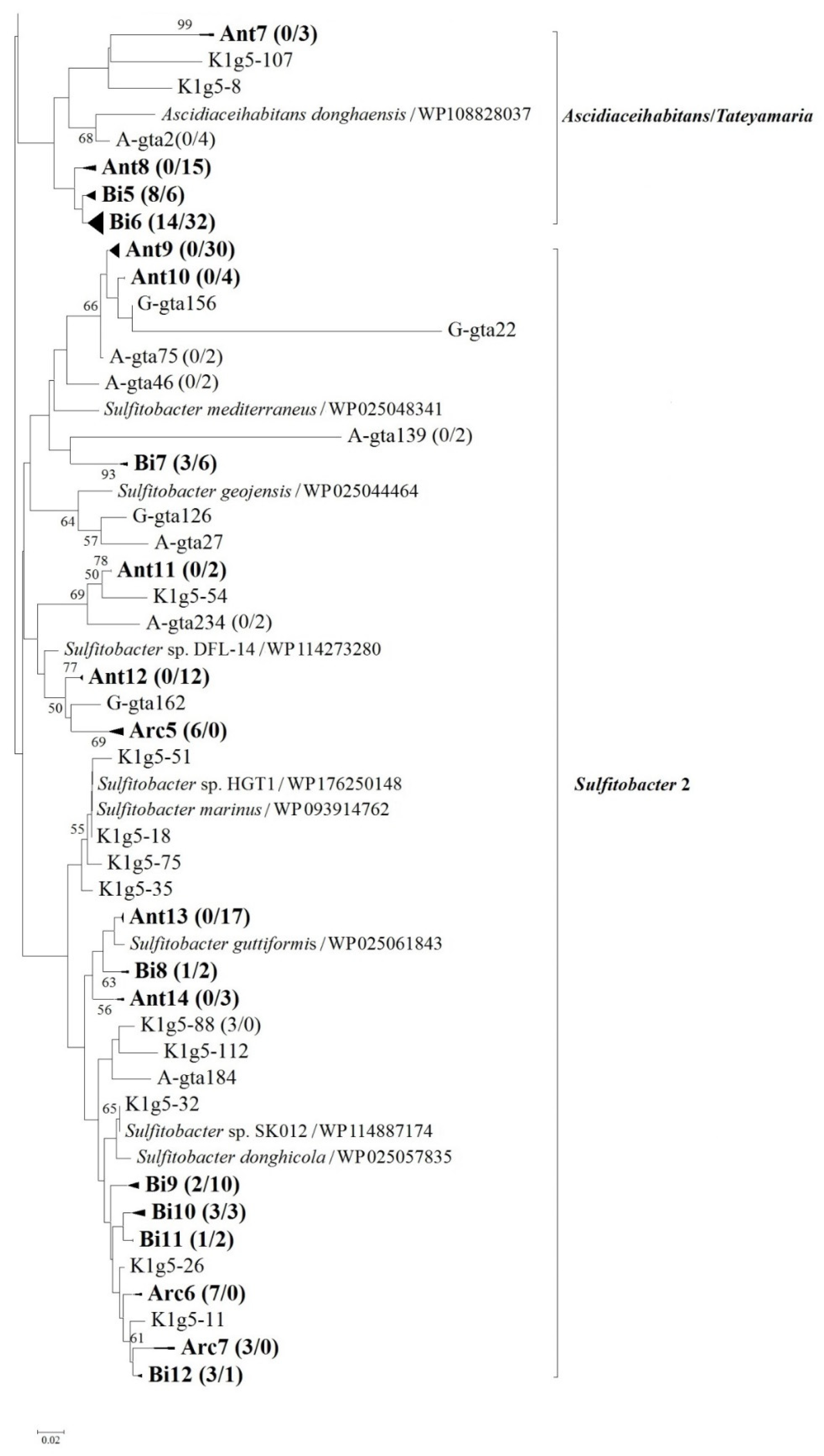 Diversity 14 00392 g004b Diversity 14 00392 g004b
