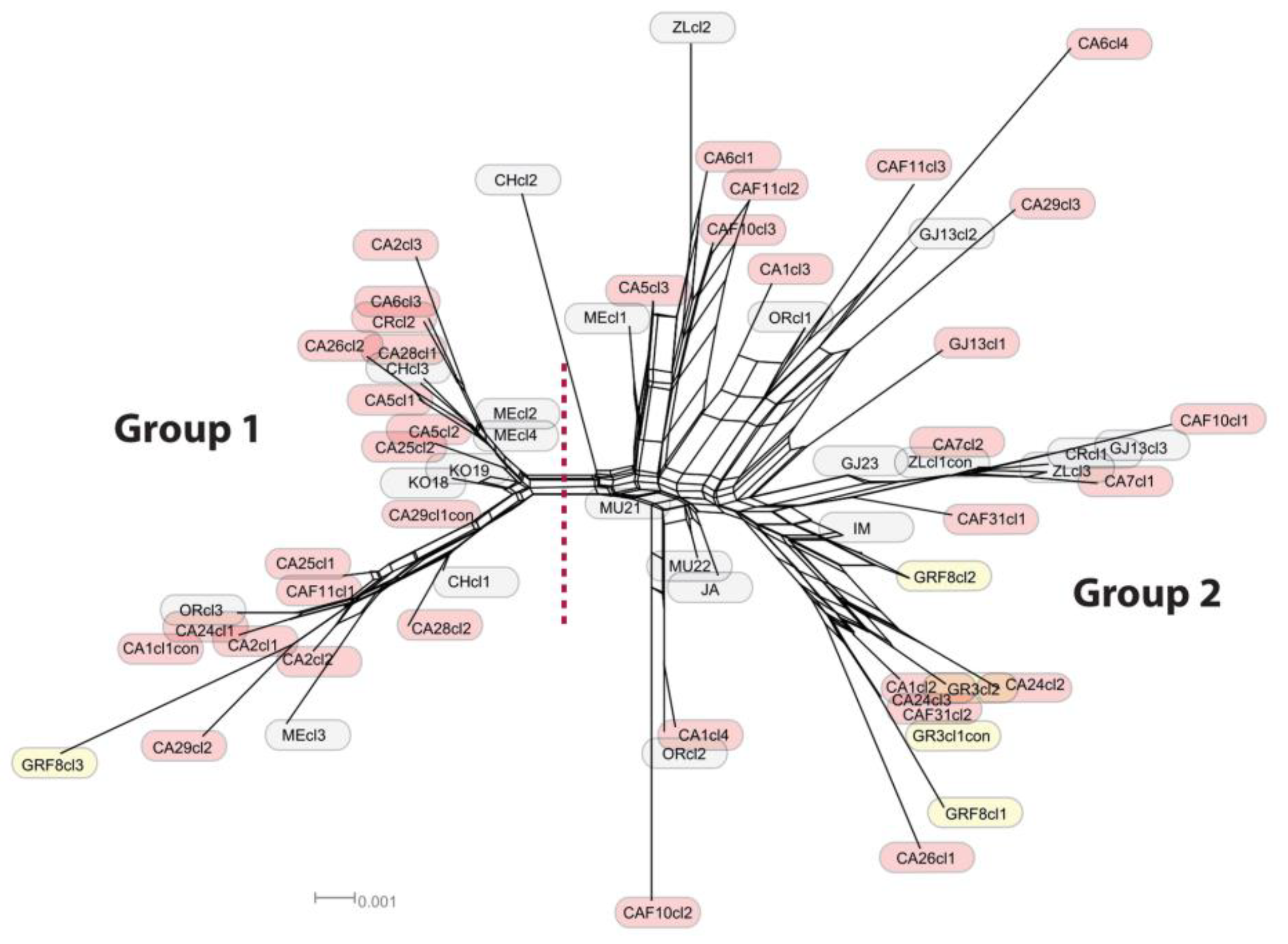 Diversity 14 00394 g005