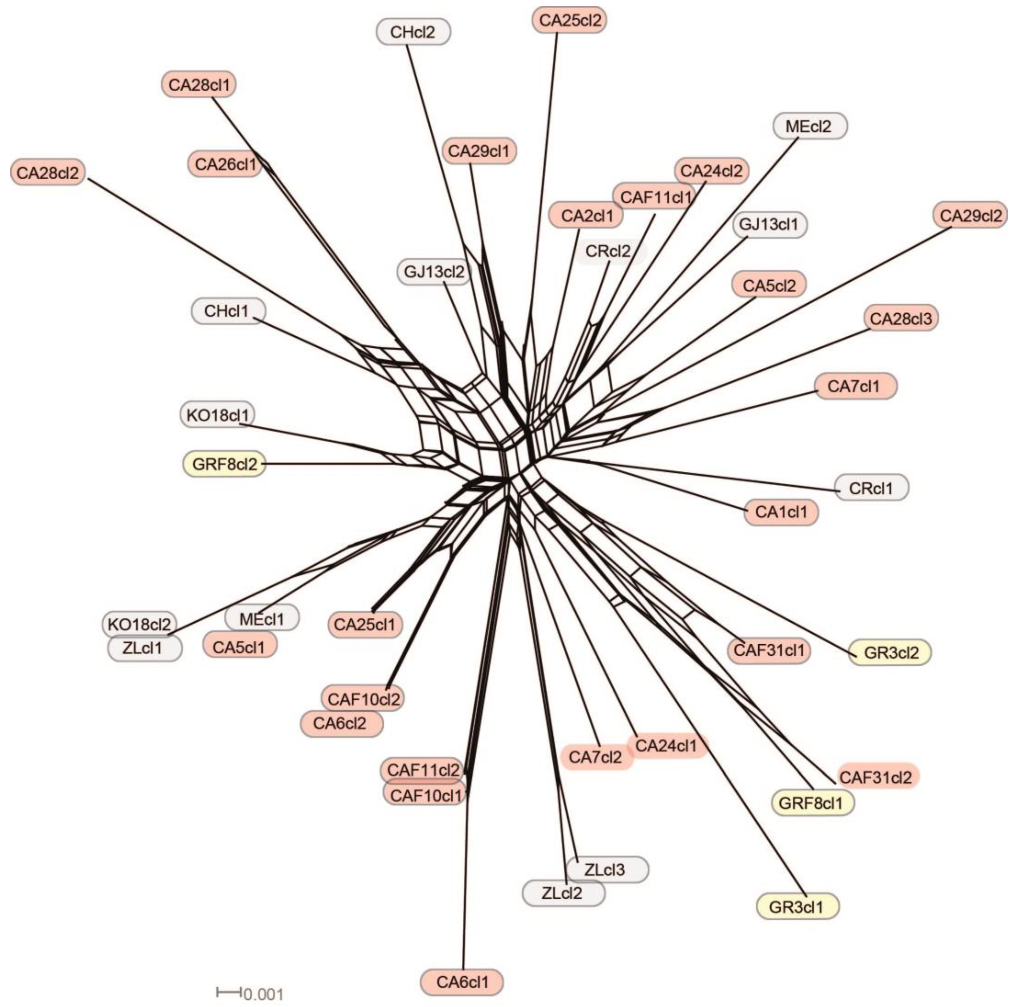 Diversity 14 00394 g006