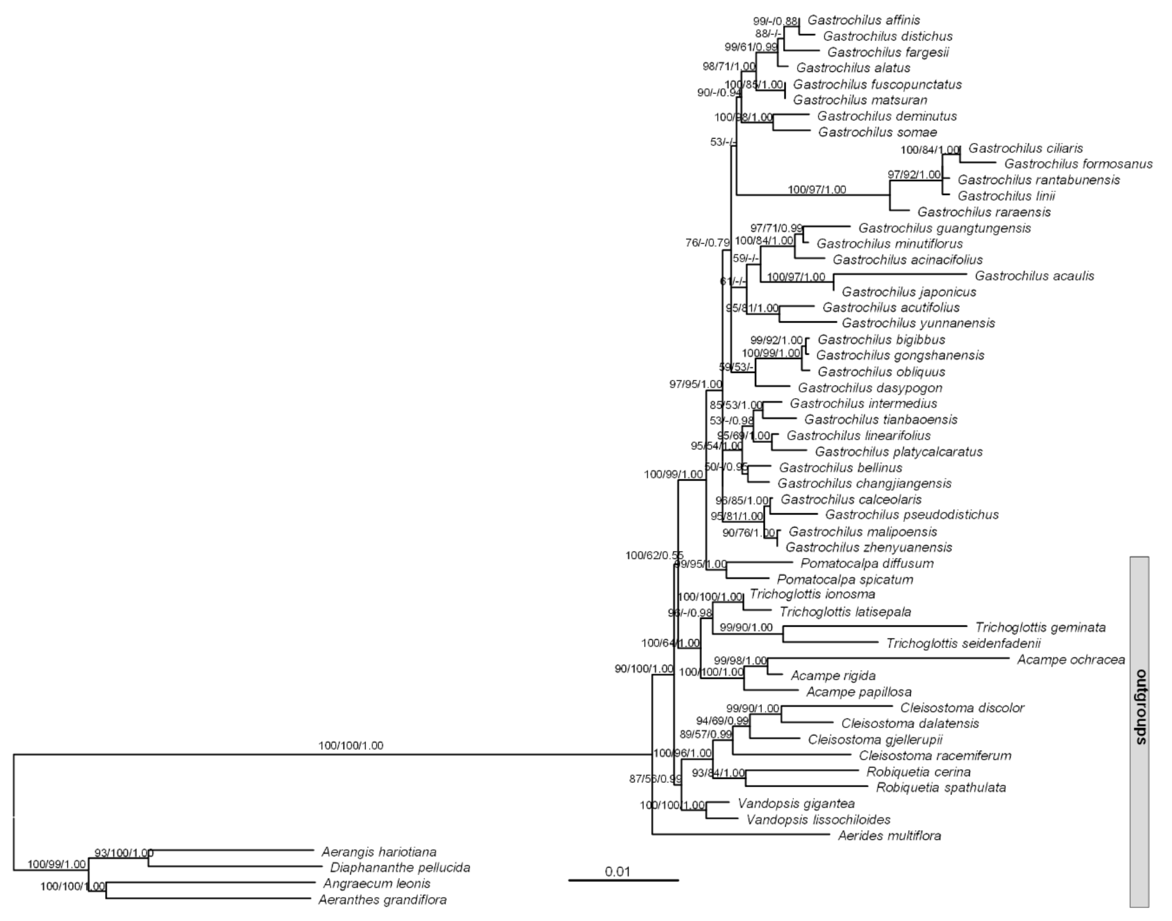 Diversity 14 00396 g001 Diversity 14 00396 g001