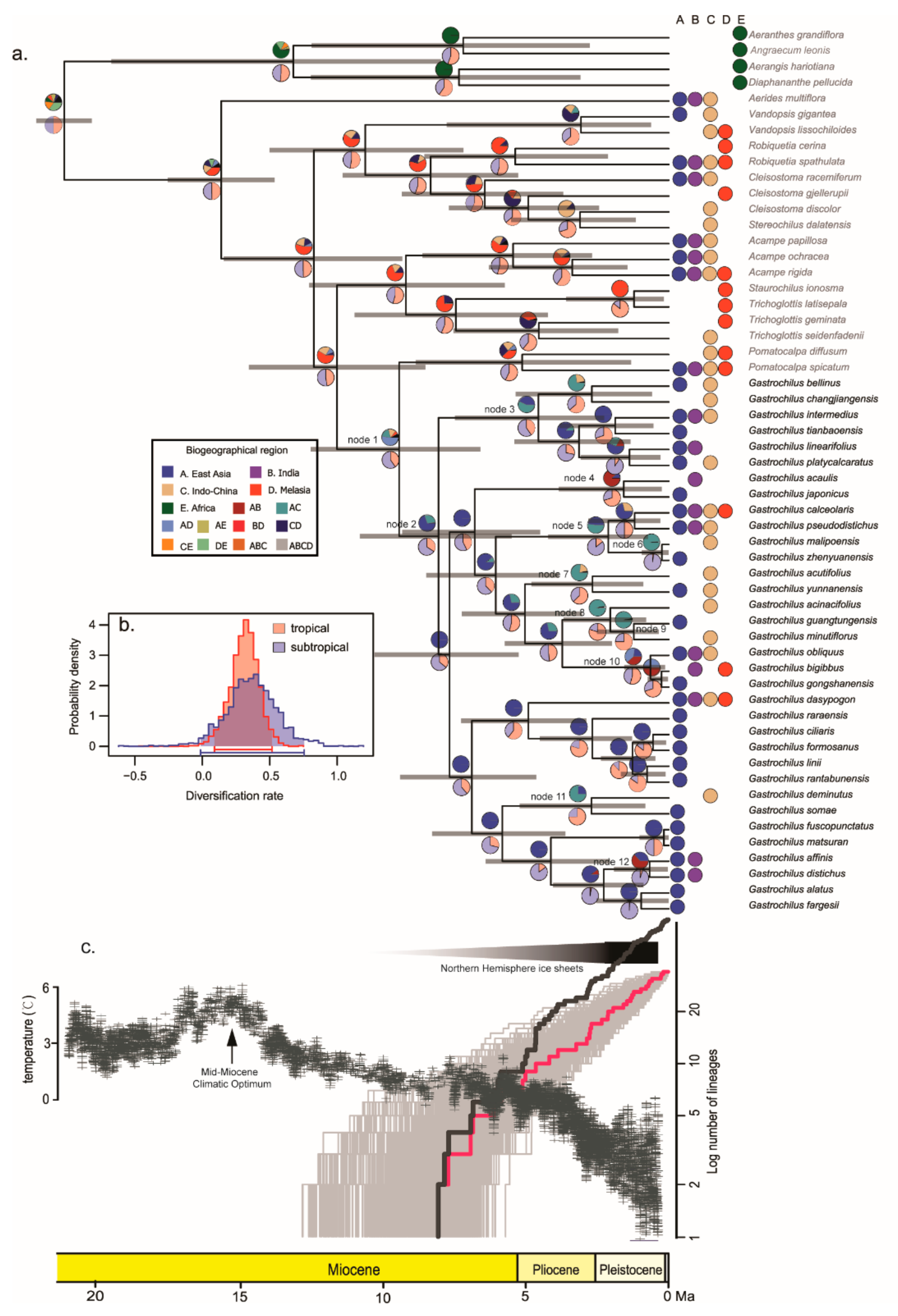 Diversity 14 00396 g002 Diversity 14 00396 g002