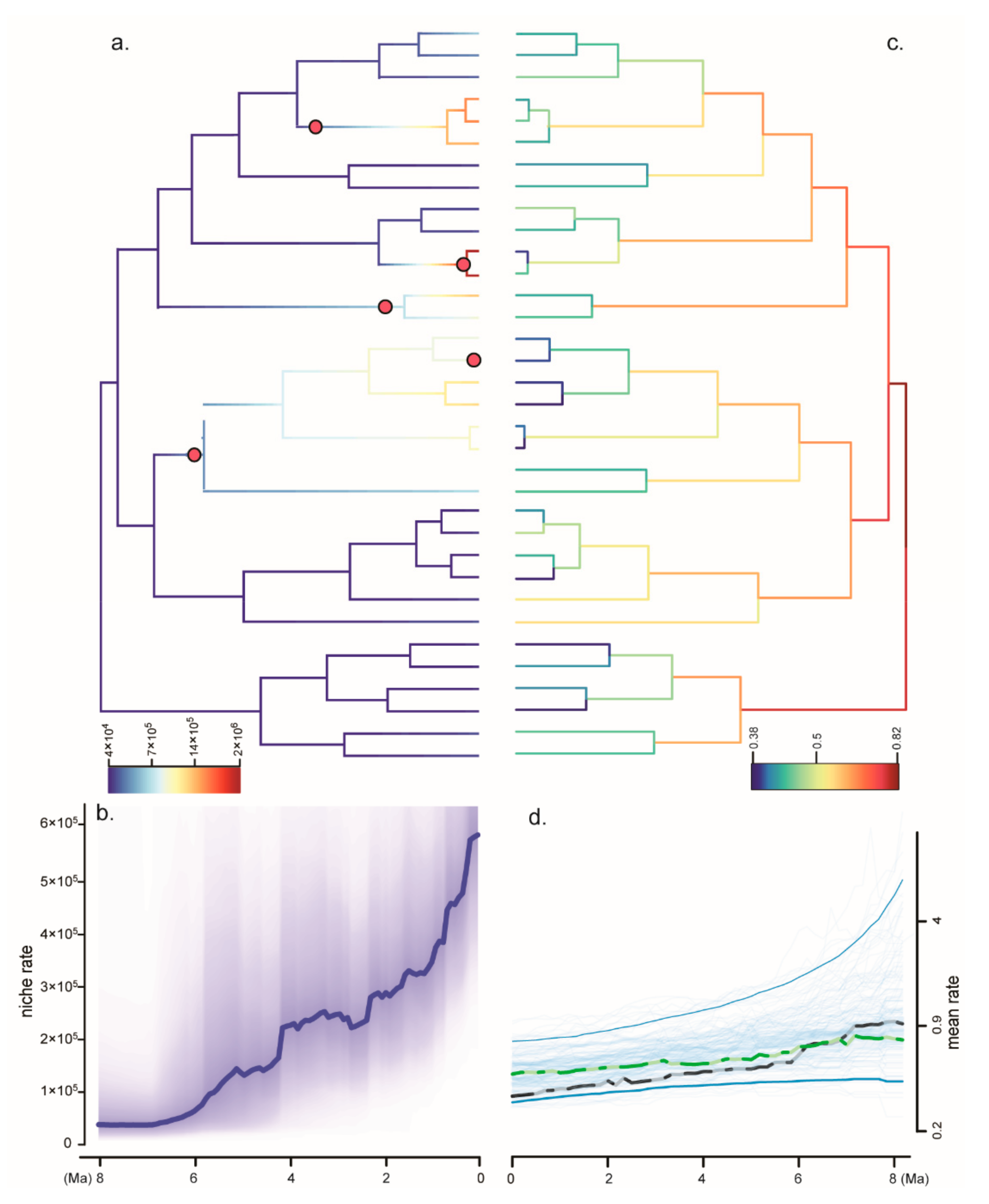 Diversity 14 00396 g003 Diversity 14 00396 g003