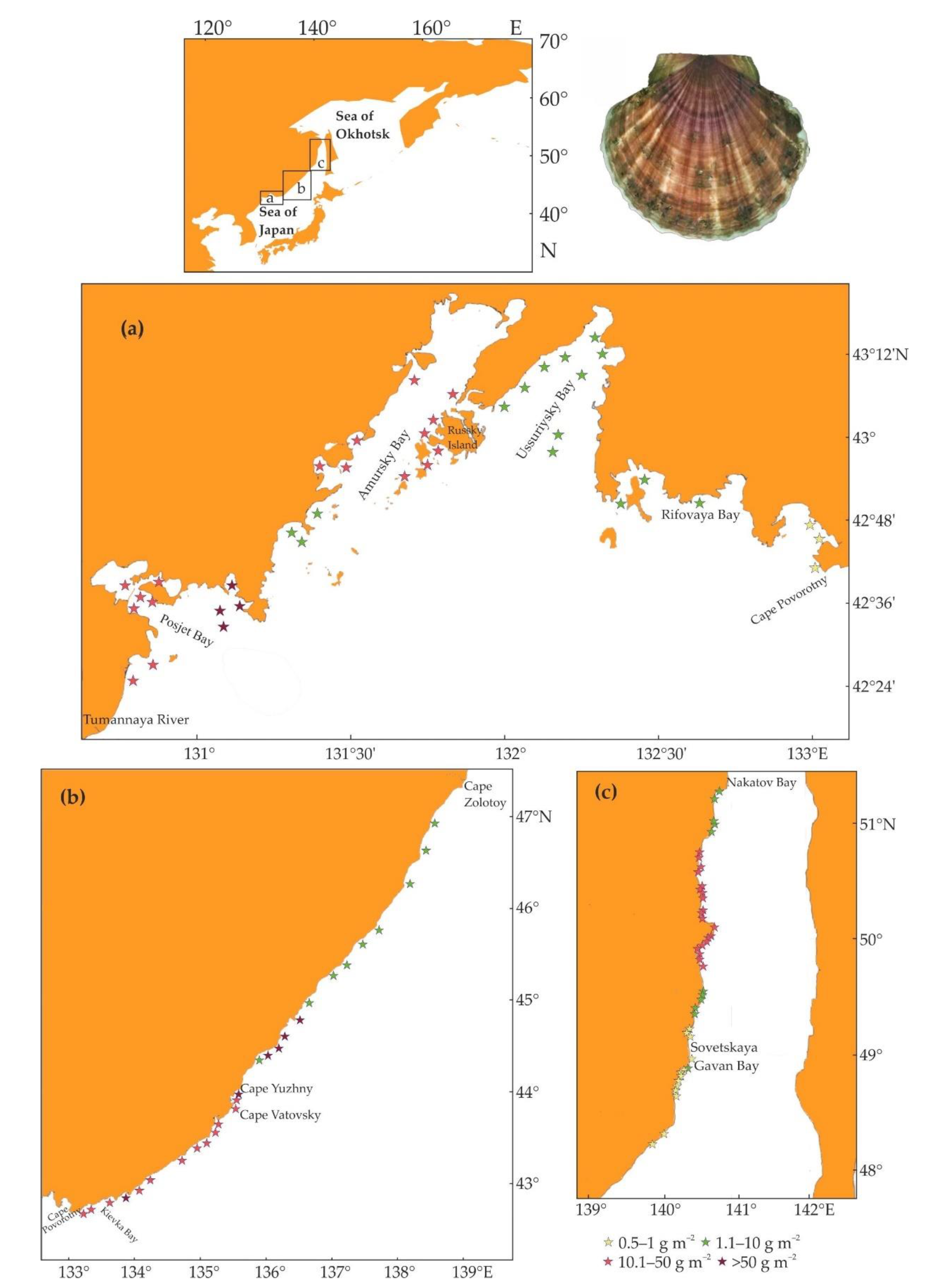 Diversity 14 00399 g003