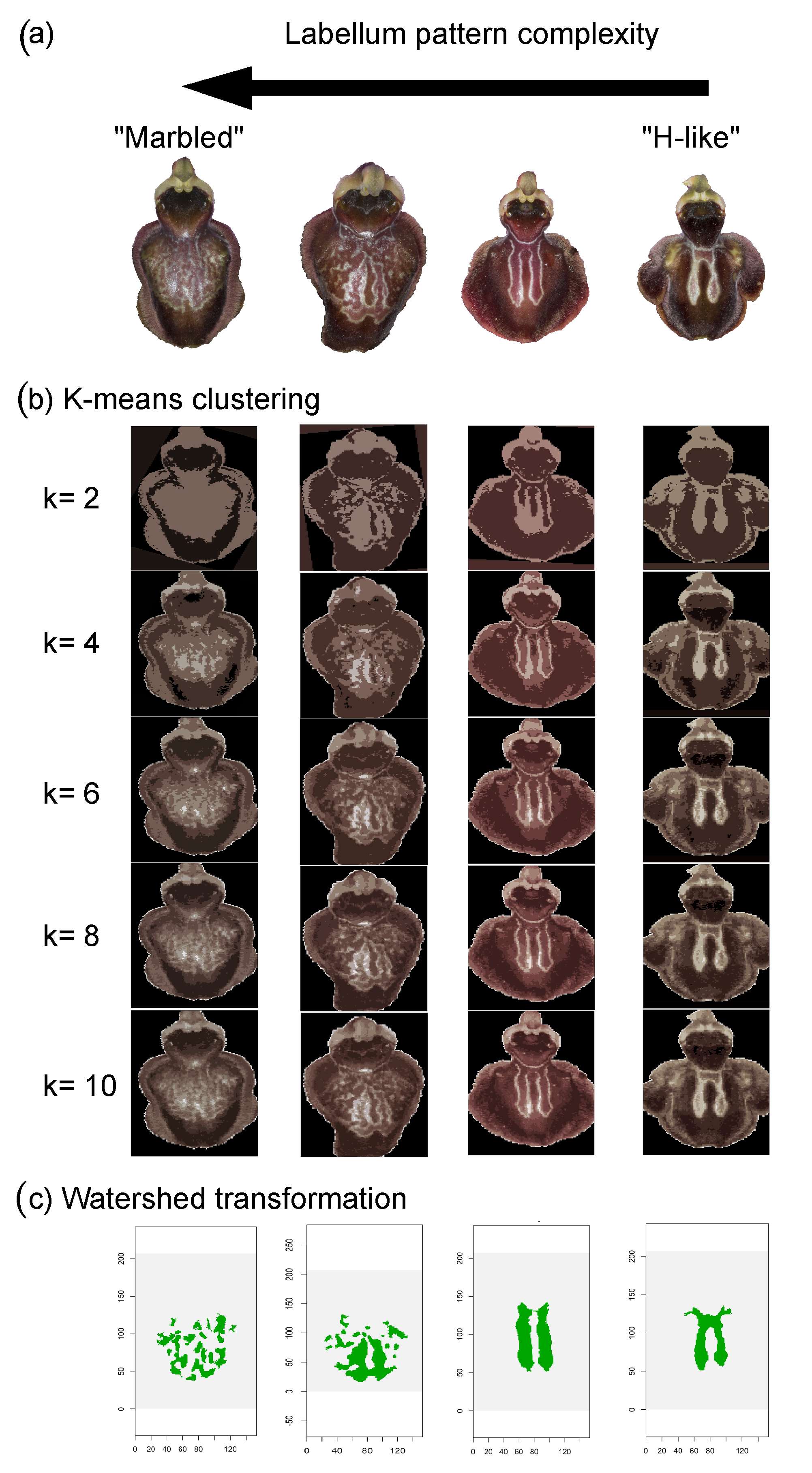 Diversity 14 00400 g004 550
