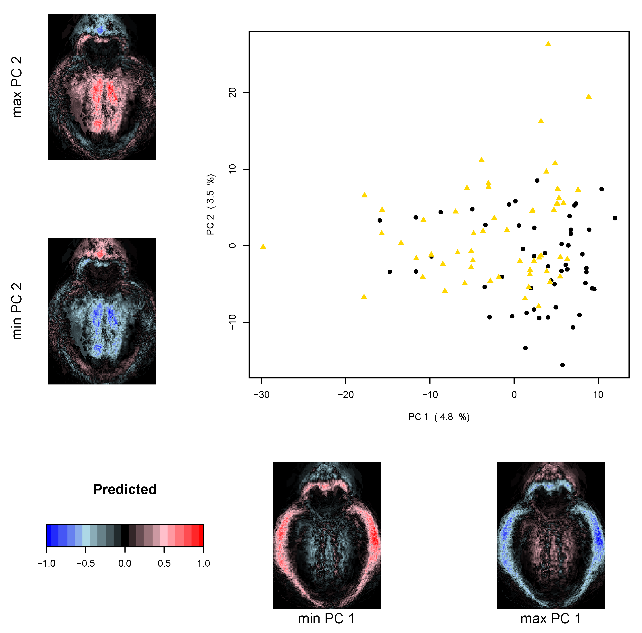 Diversity 14 00400 g005 550