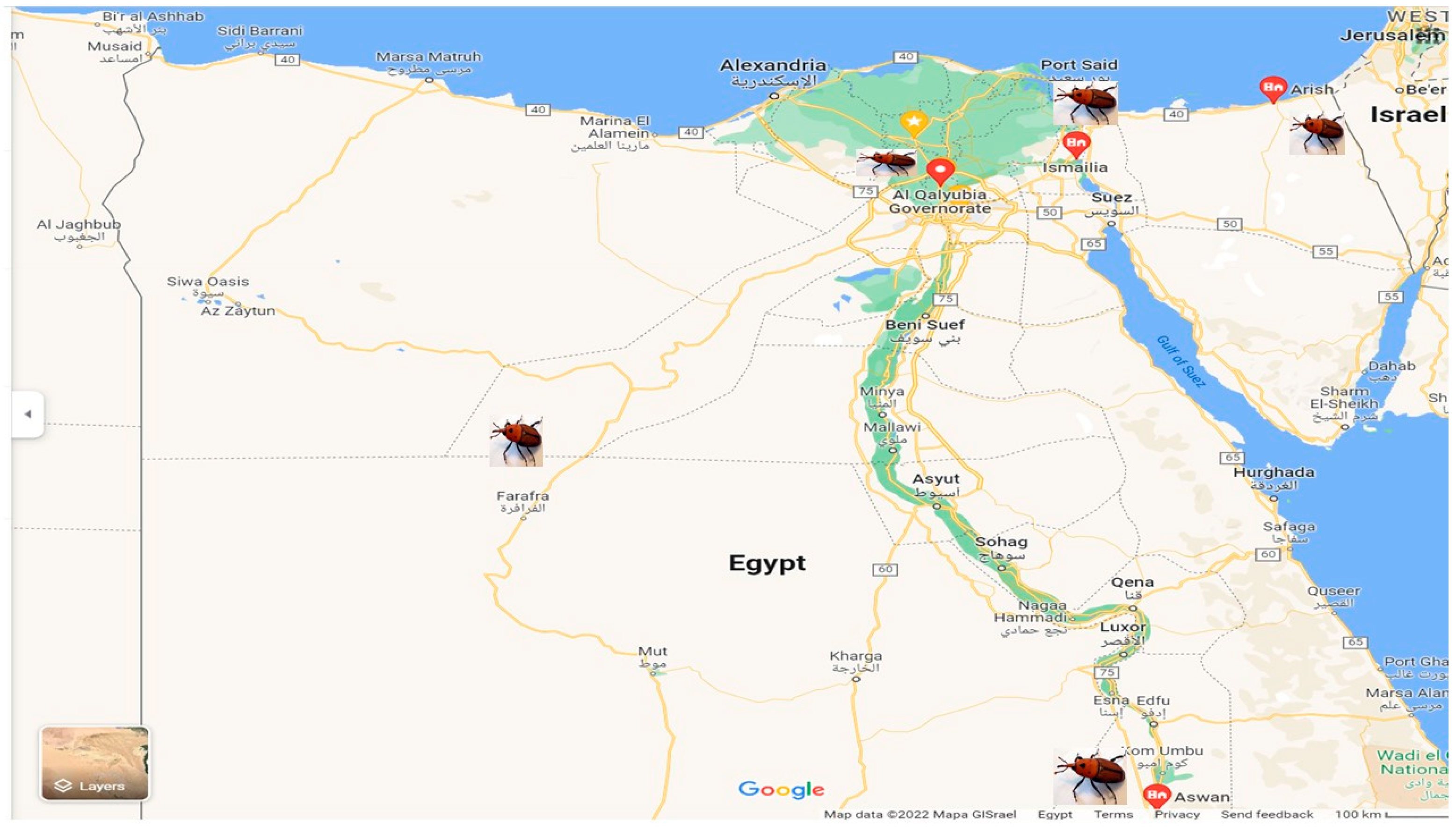 Diversity 14 00404 g001