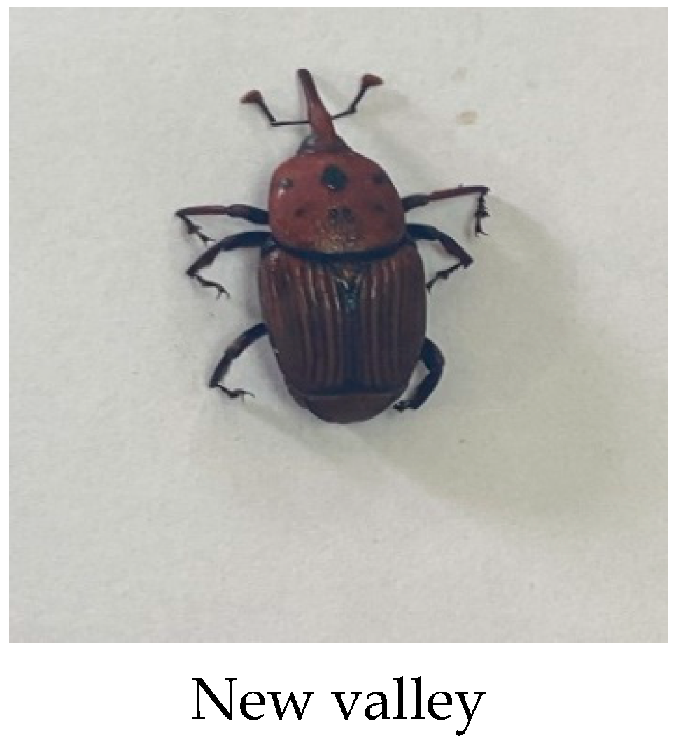 Diversity 14 00404 g002b