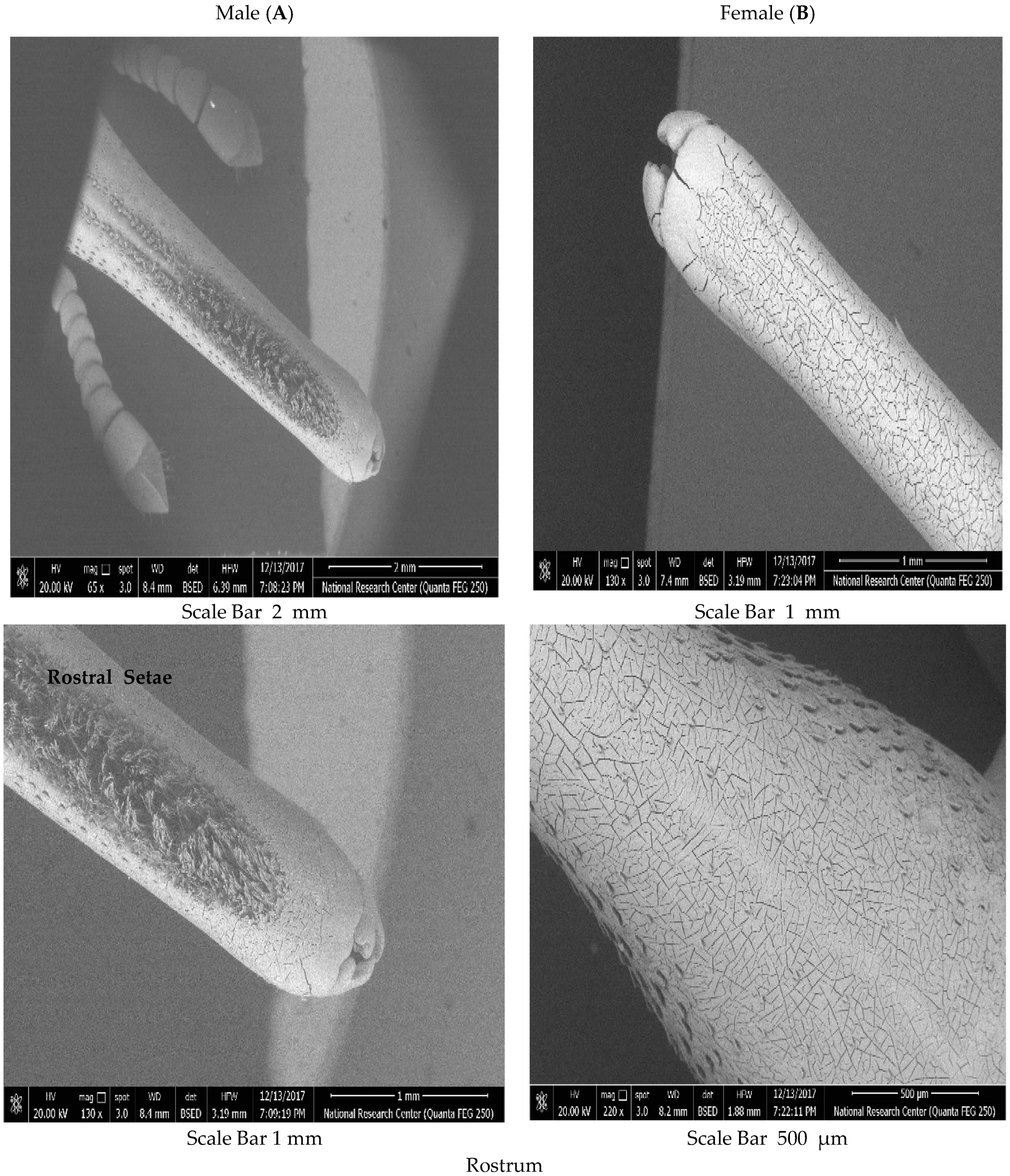 Diversity 14 00404 g003