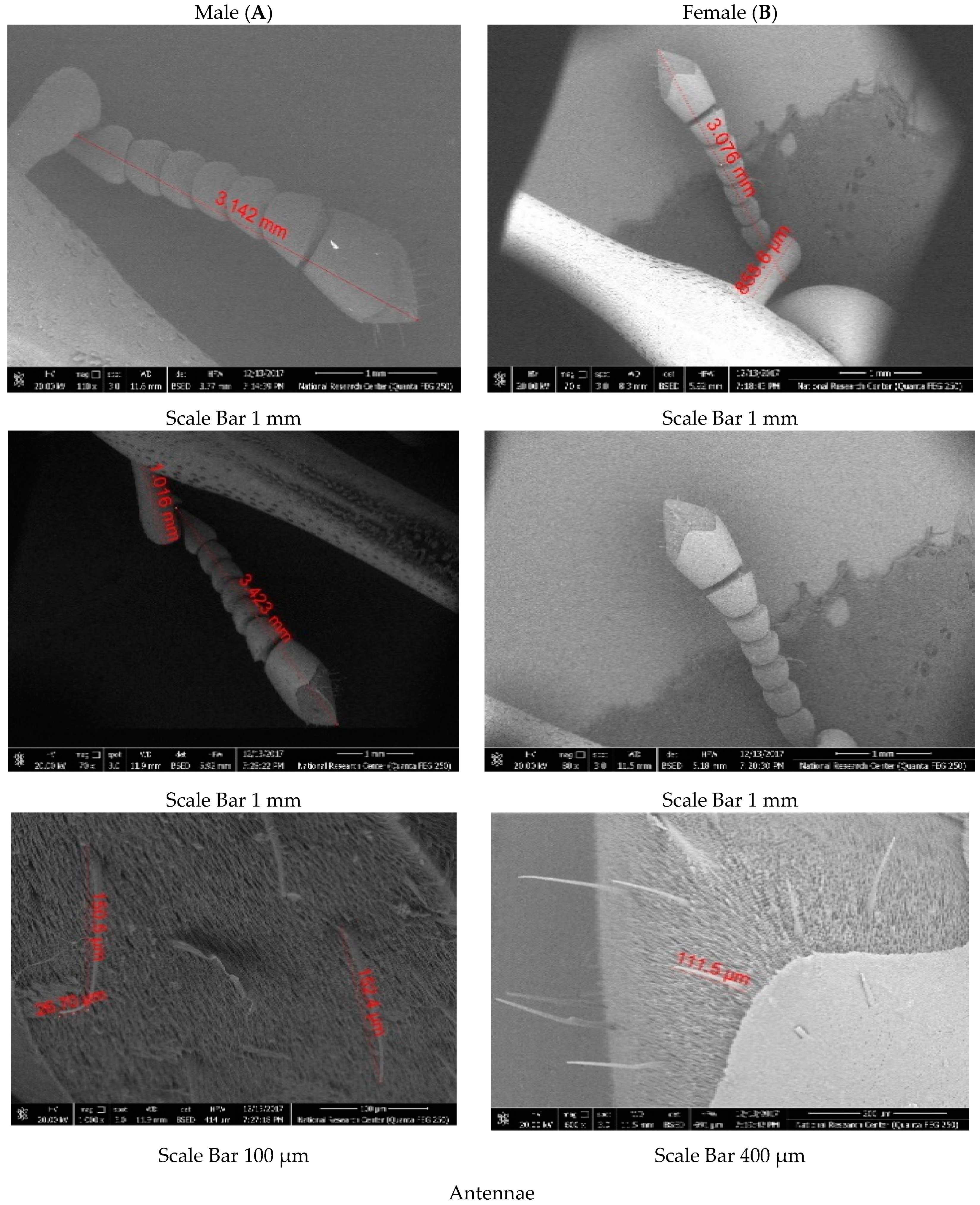 Diversity 14 00404 g005