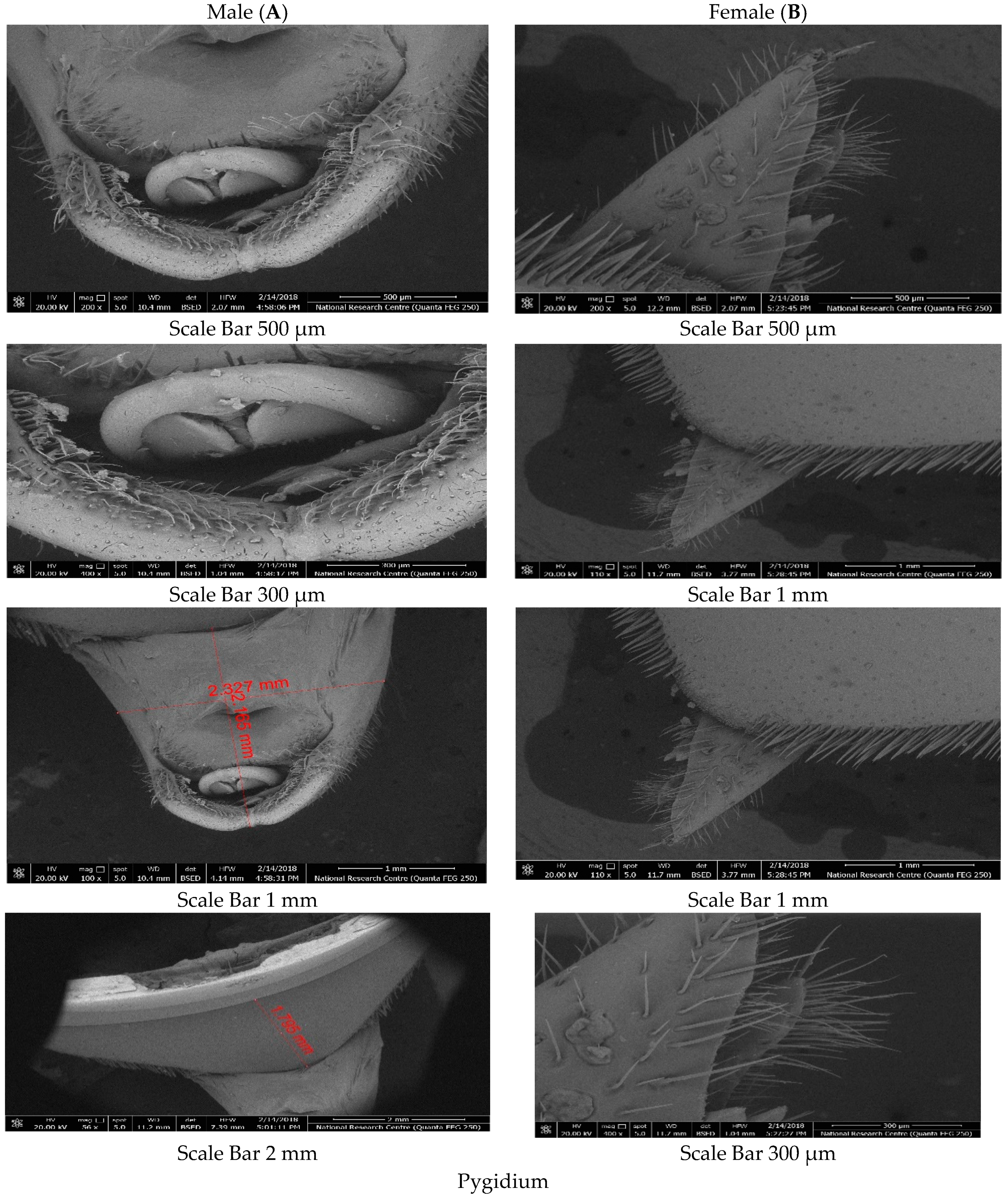 Diversity 14 00404 g006