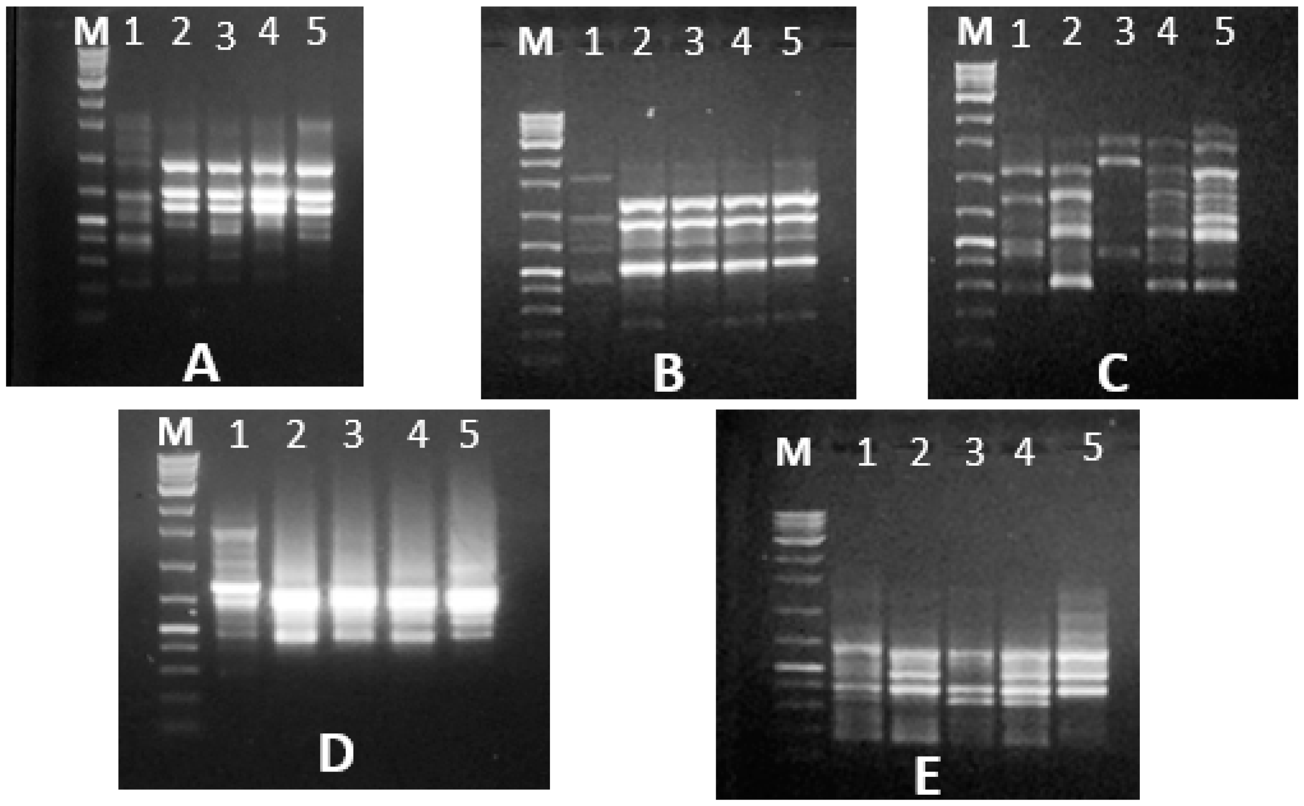 Diversity 14 00404 g007