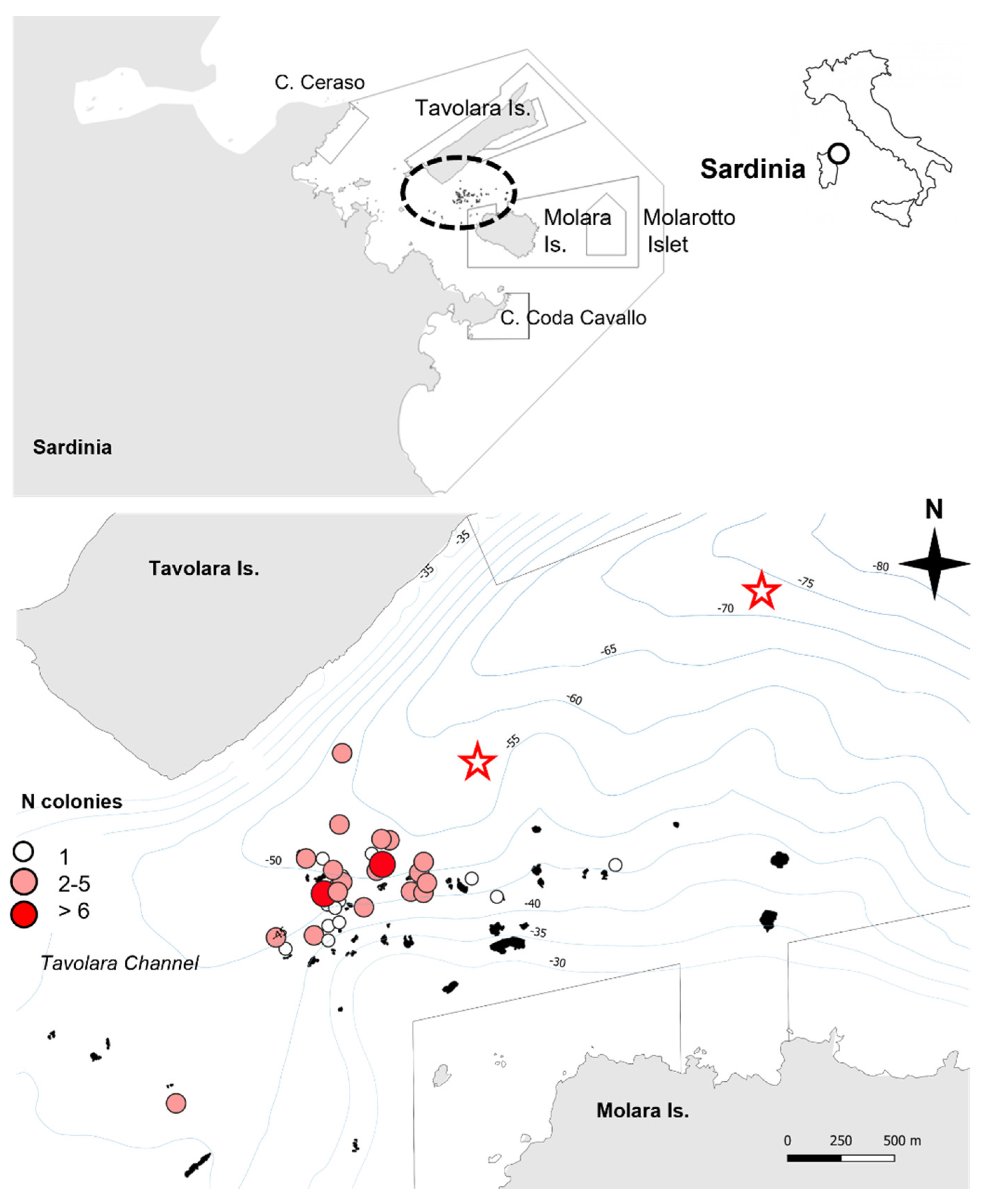 Diversity 14 00405 g001 Diversity 14 00405 g001