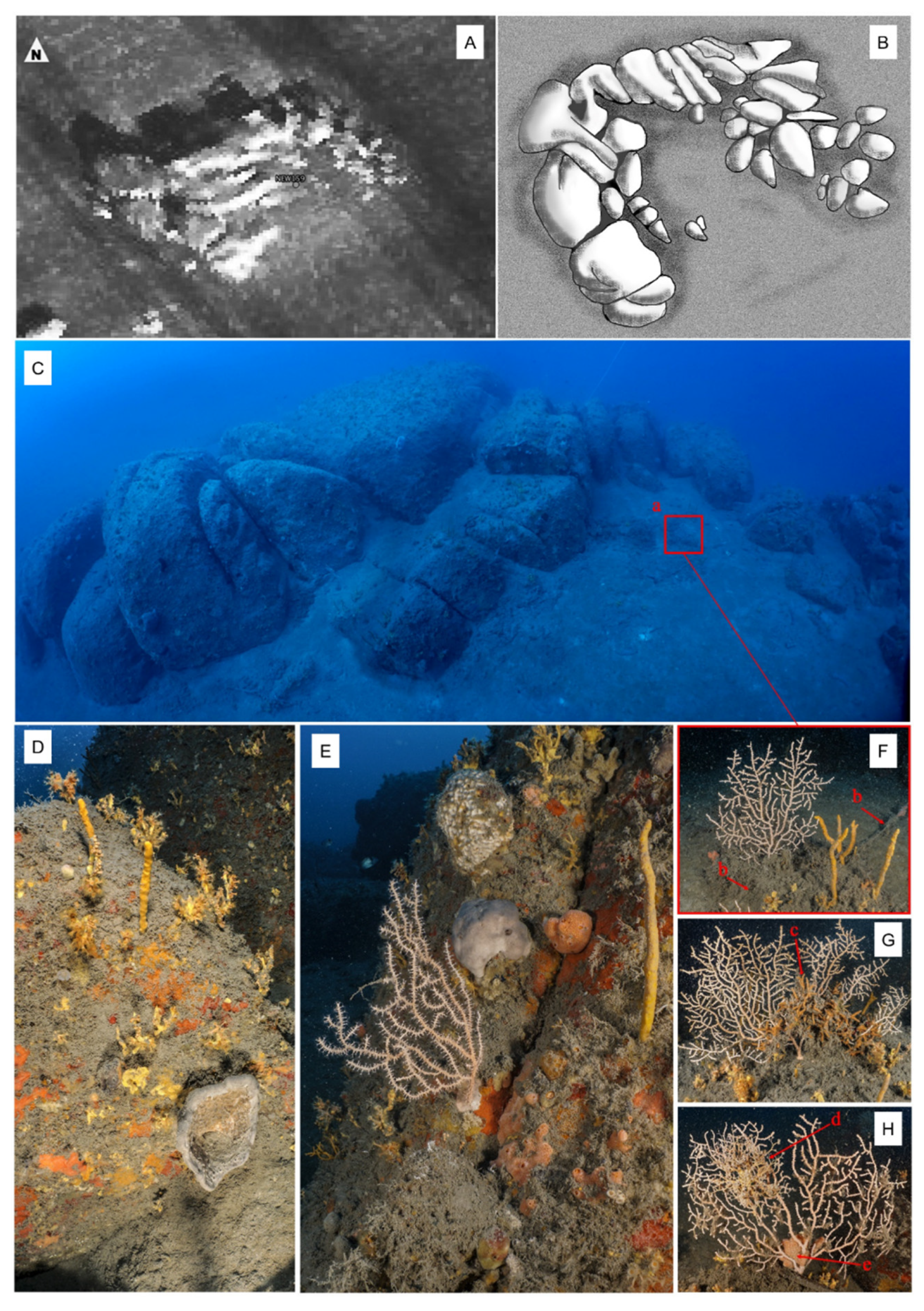 Diversity 14 00405 g002 Diversity 14 00405 g002