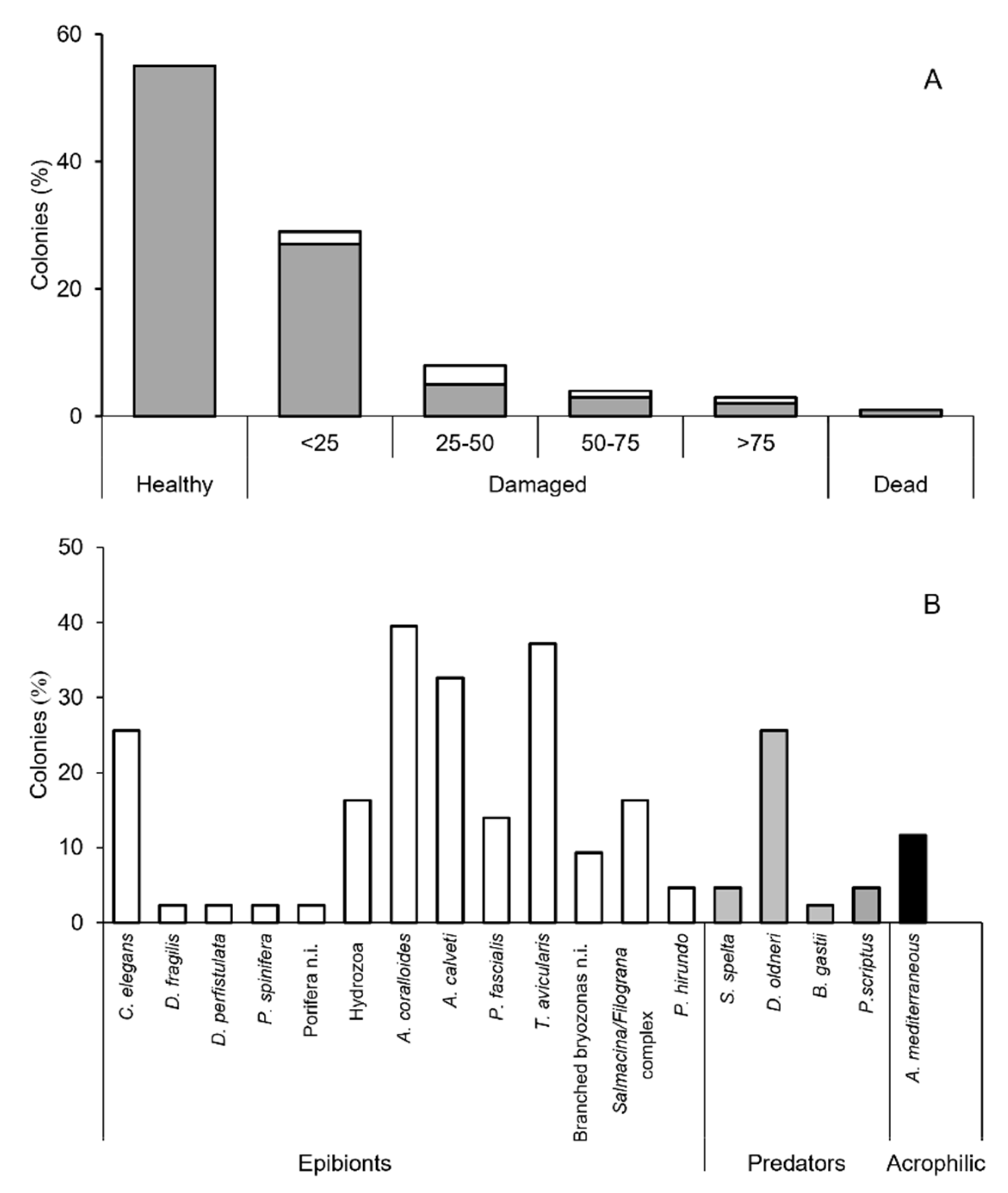 Diversity 14 00405 g004 Diversity 14 00405 g004