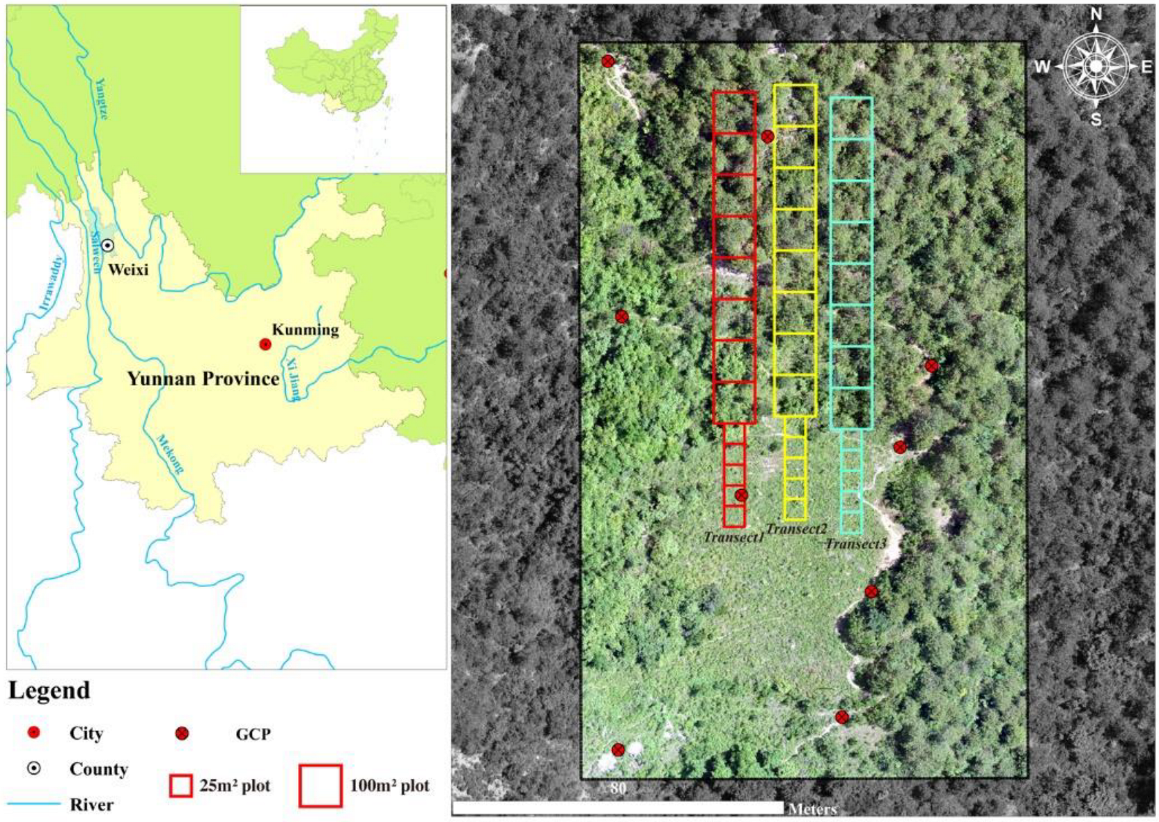 Diversity 14 00406 g001 550