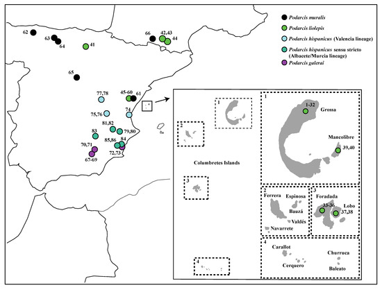 https://www.mdpi.com/diversity/diversity-14-00408/article_deploy/html/images/diversity-14-00408-g001-550.jpg