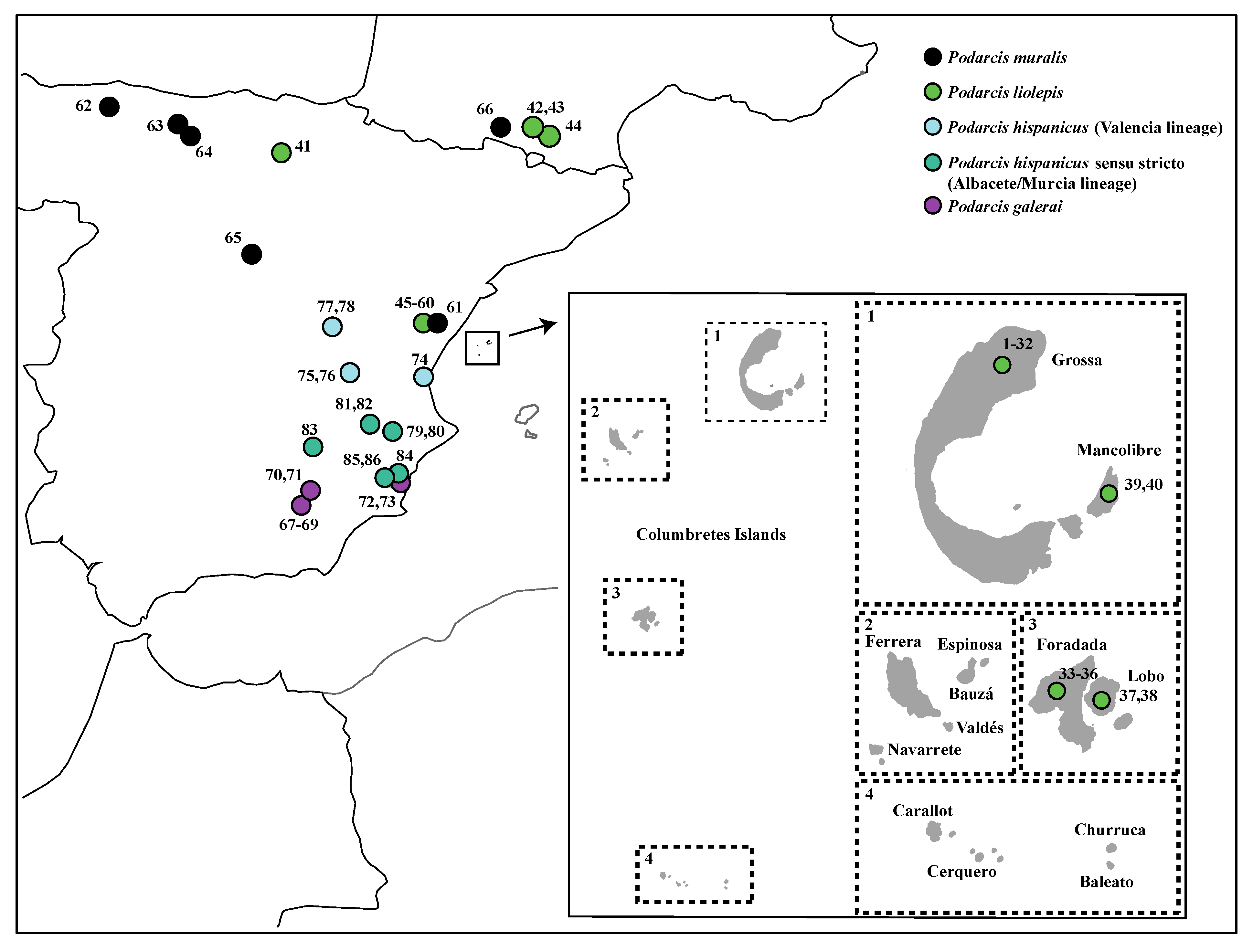 Diversity 14 00408 g001 550
