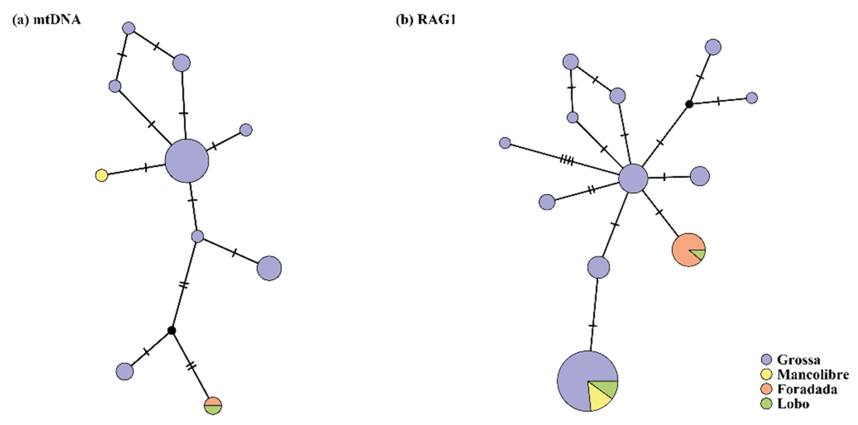 Diversity 14 00408 g002 550