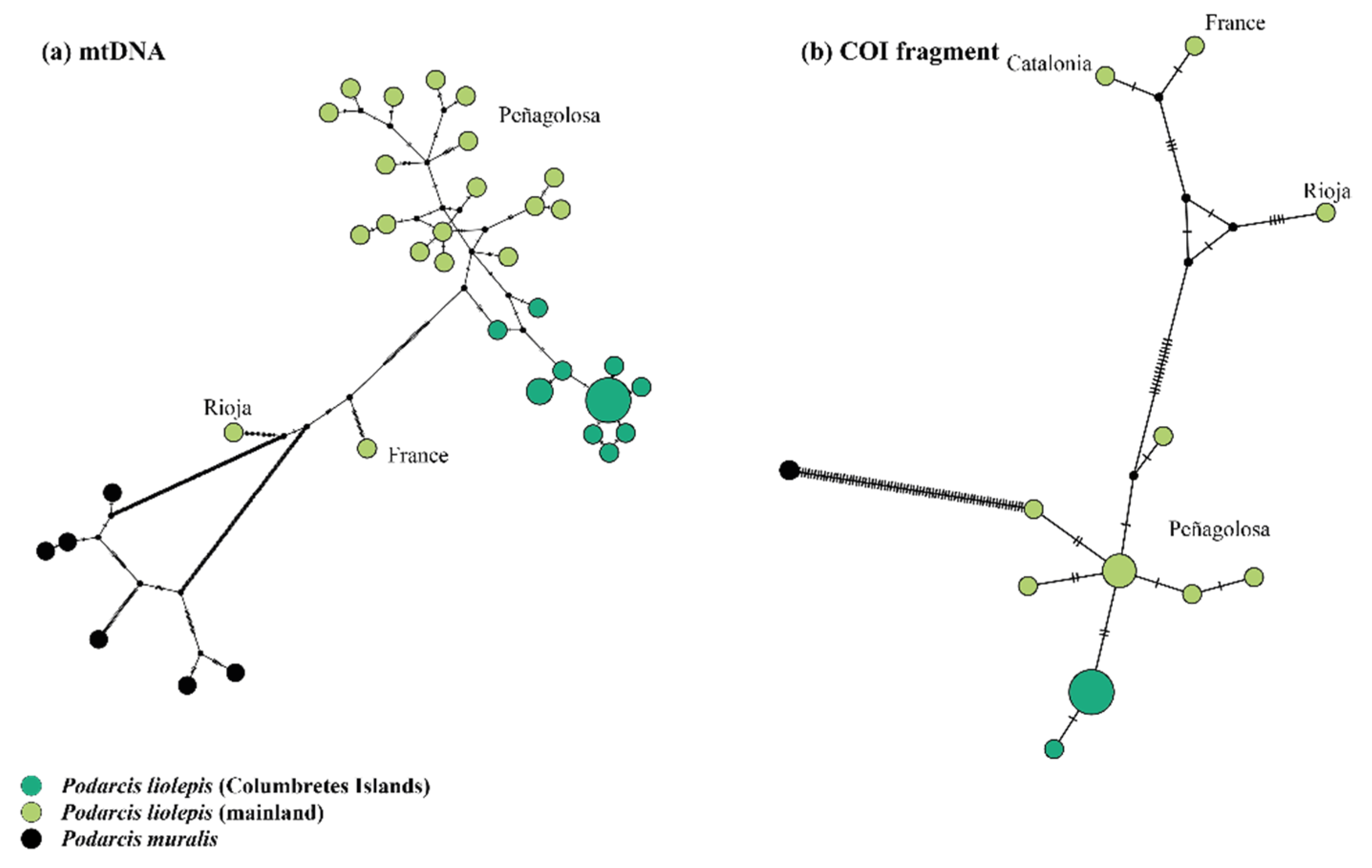Diversity 14 00408 g003 550