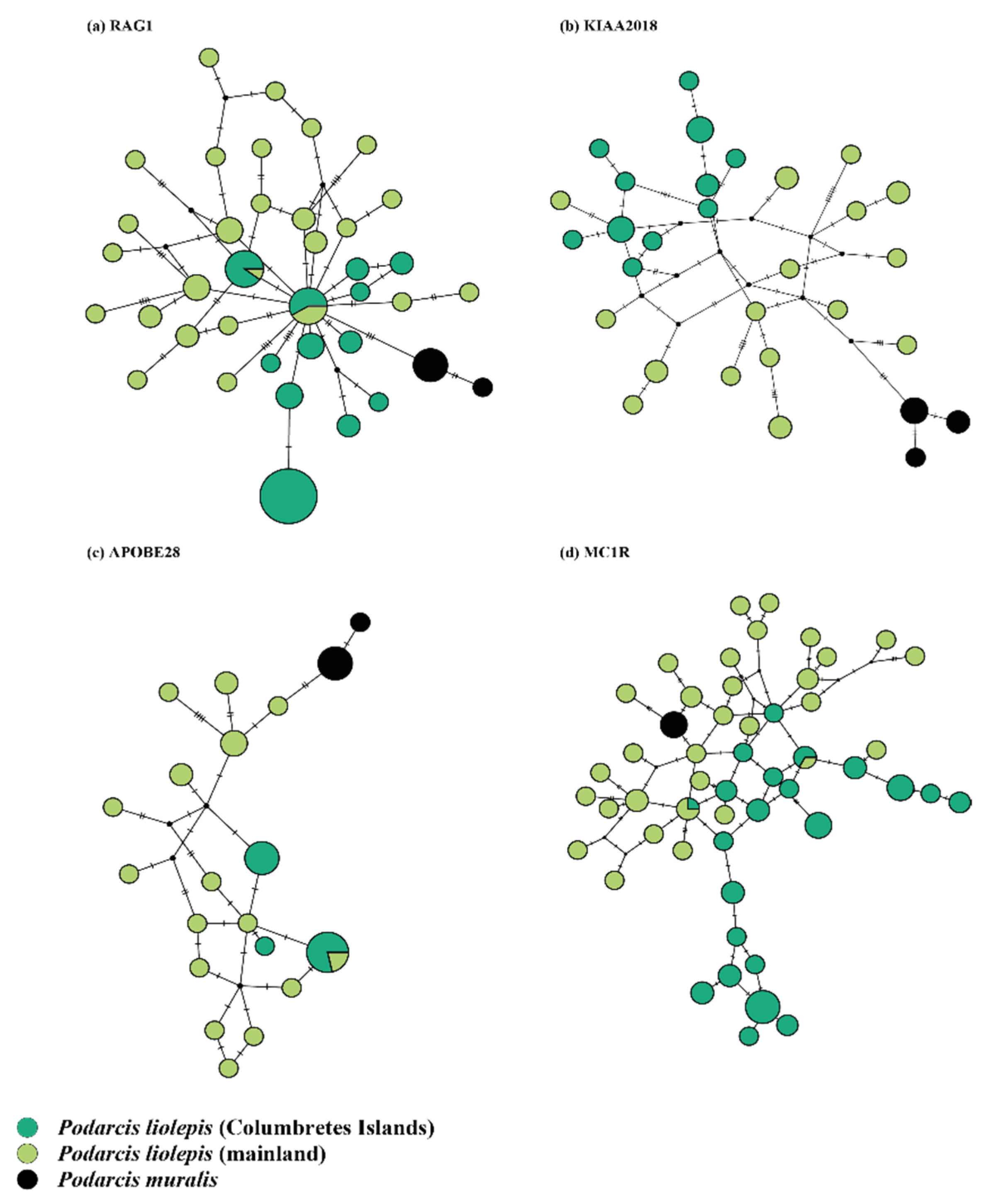 Diversity 14 00408 g005 550