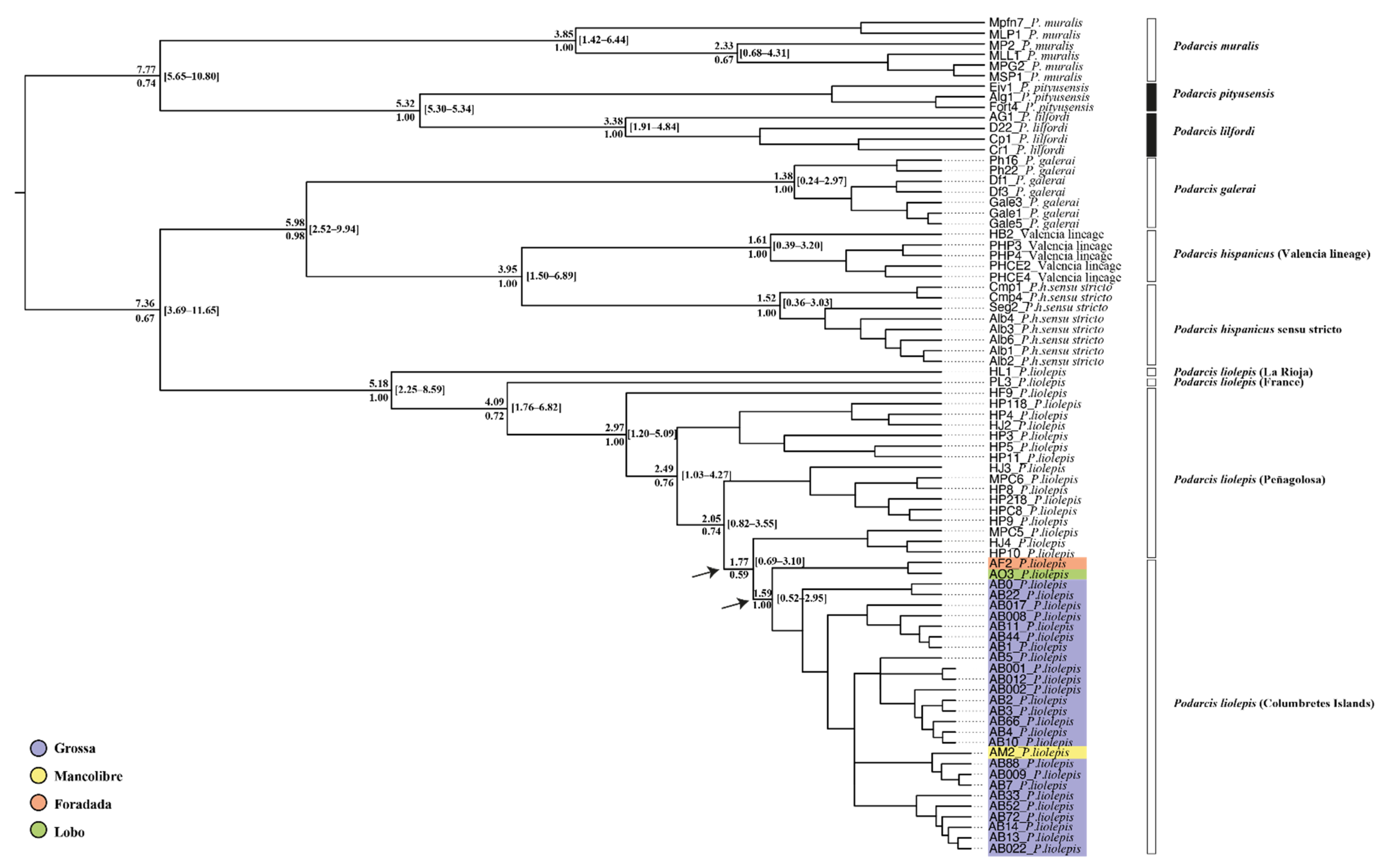 Diversity 14 00408 g006 550