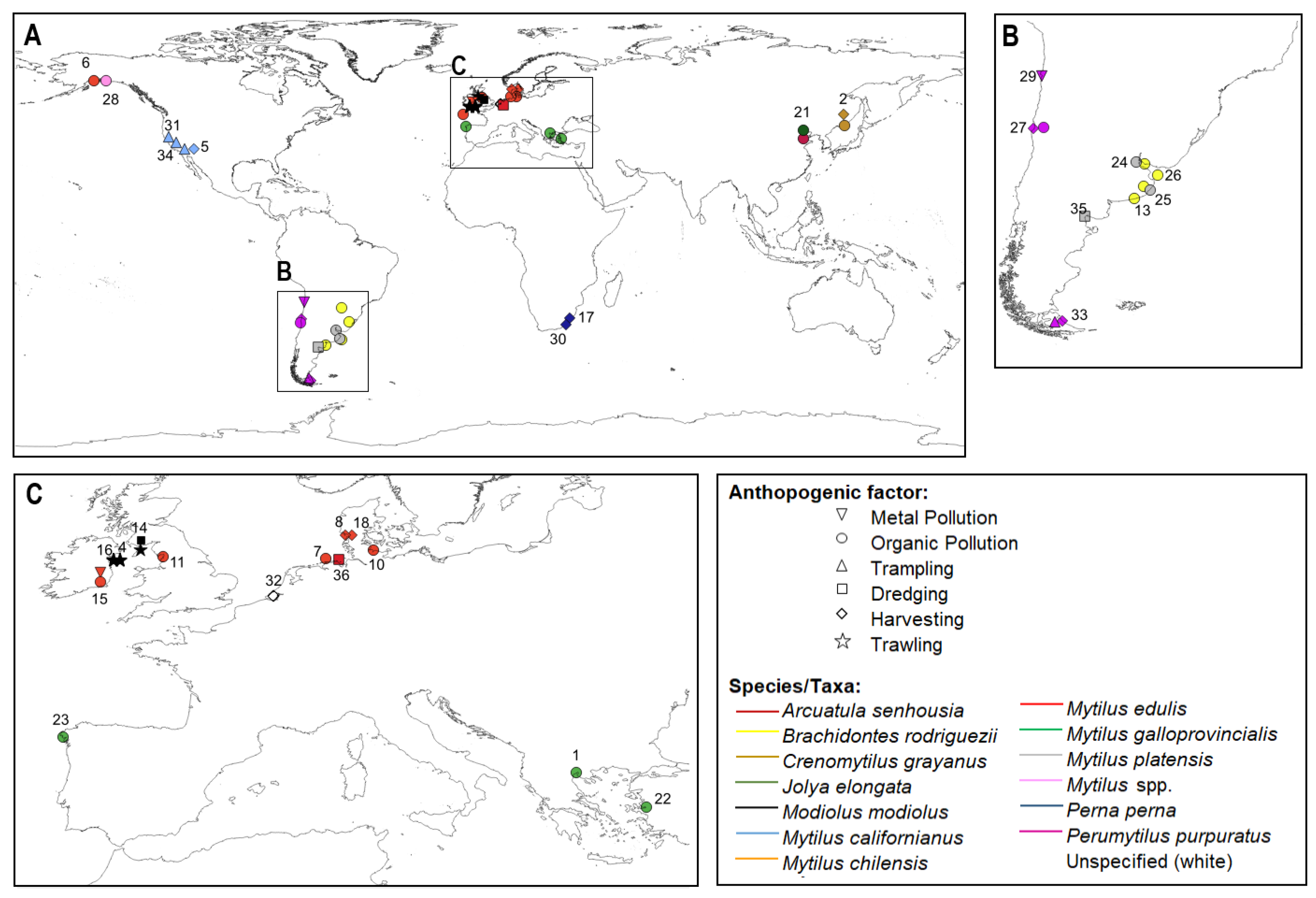 Diversity 14 00409 g001