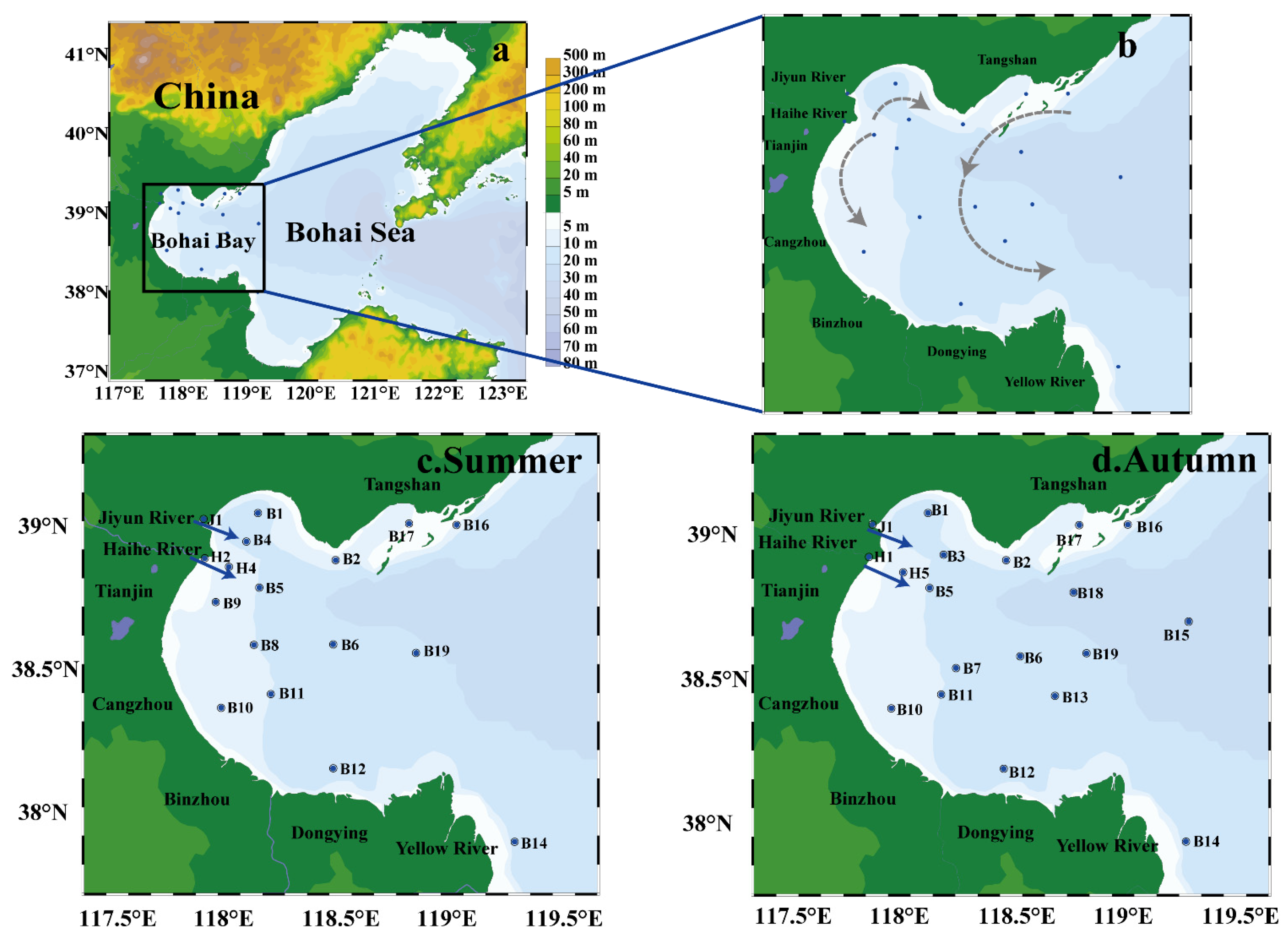 Diversity 14 00410 g001