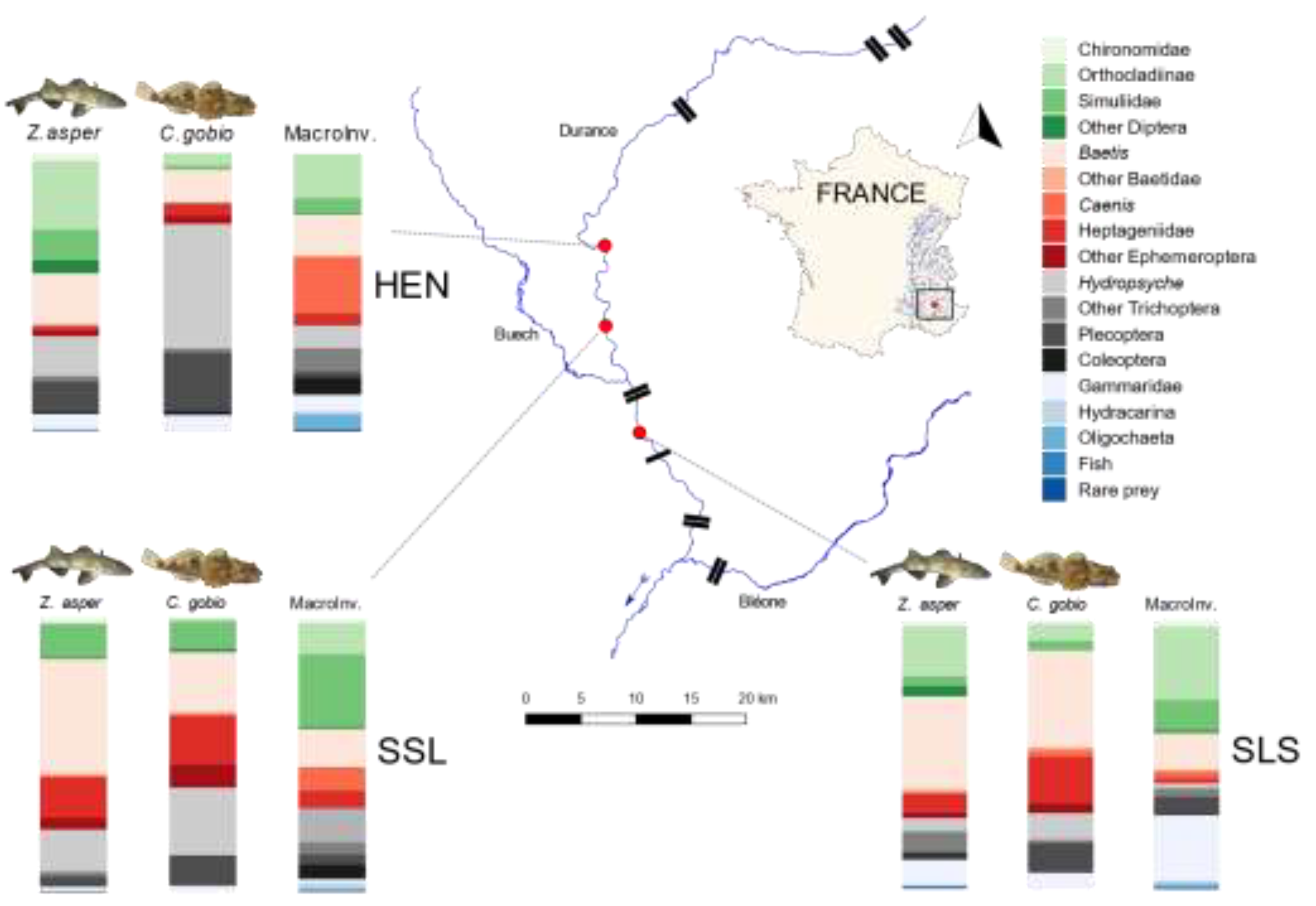 Diversity 14 00412 g001