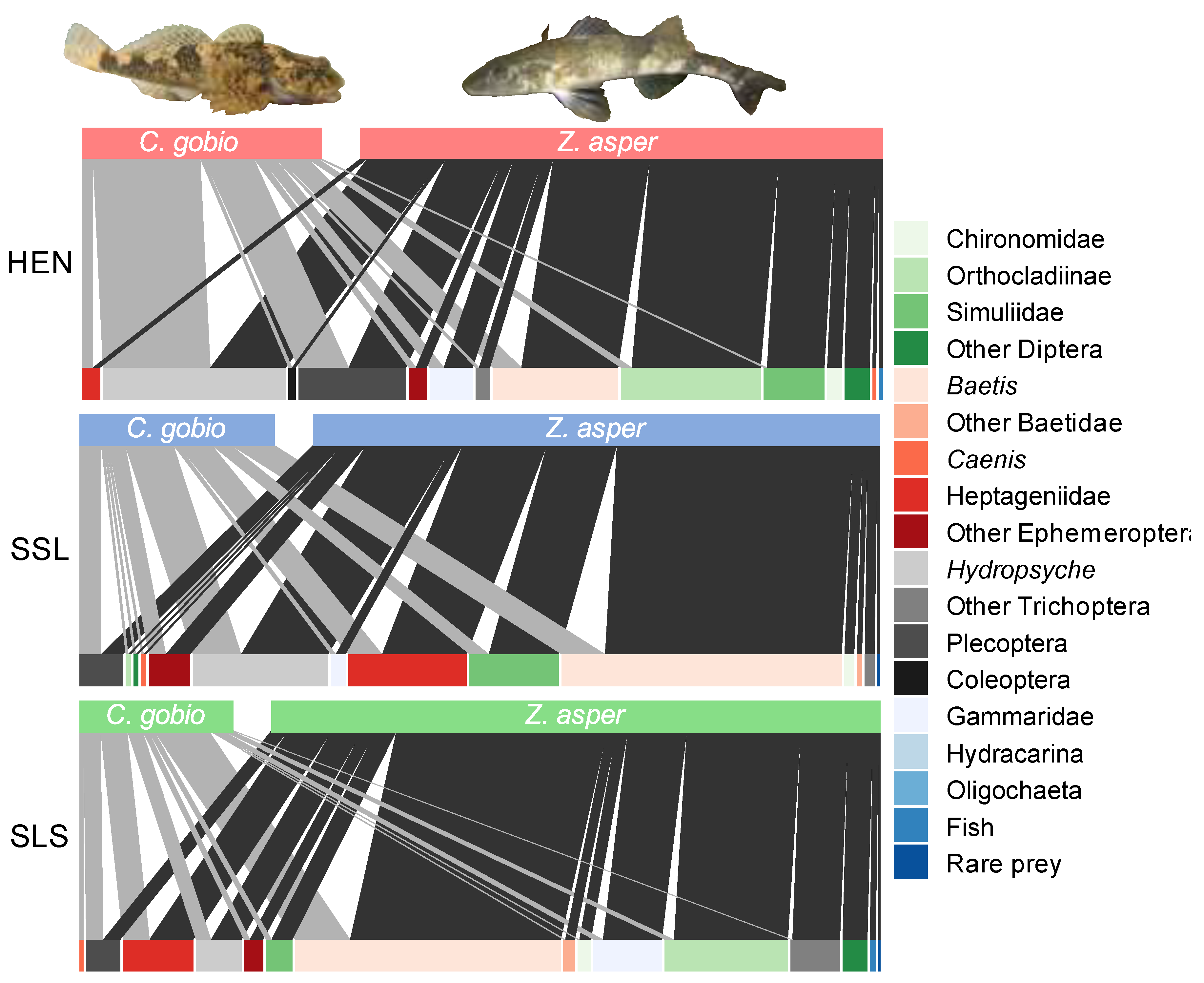 Diversity 14 00412 g006